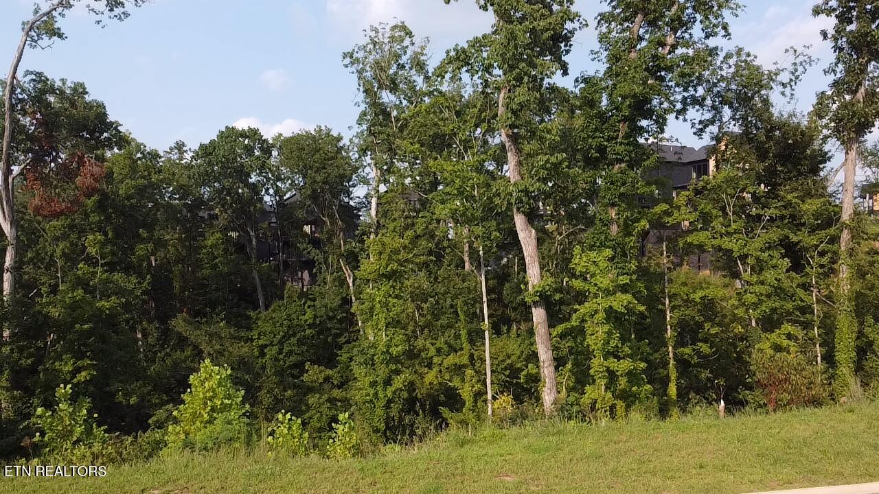 Lot 143 Reedmont Way Sevierville TN 37876