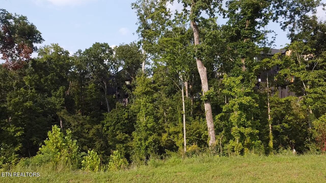 Lot 143 Reedmont Way Sevierville TN 37876