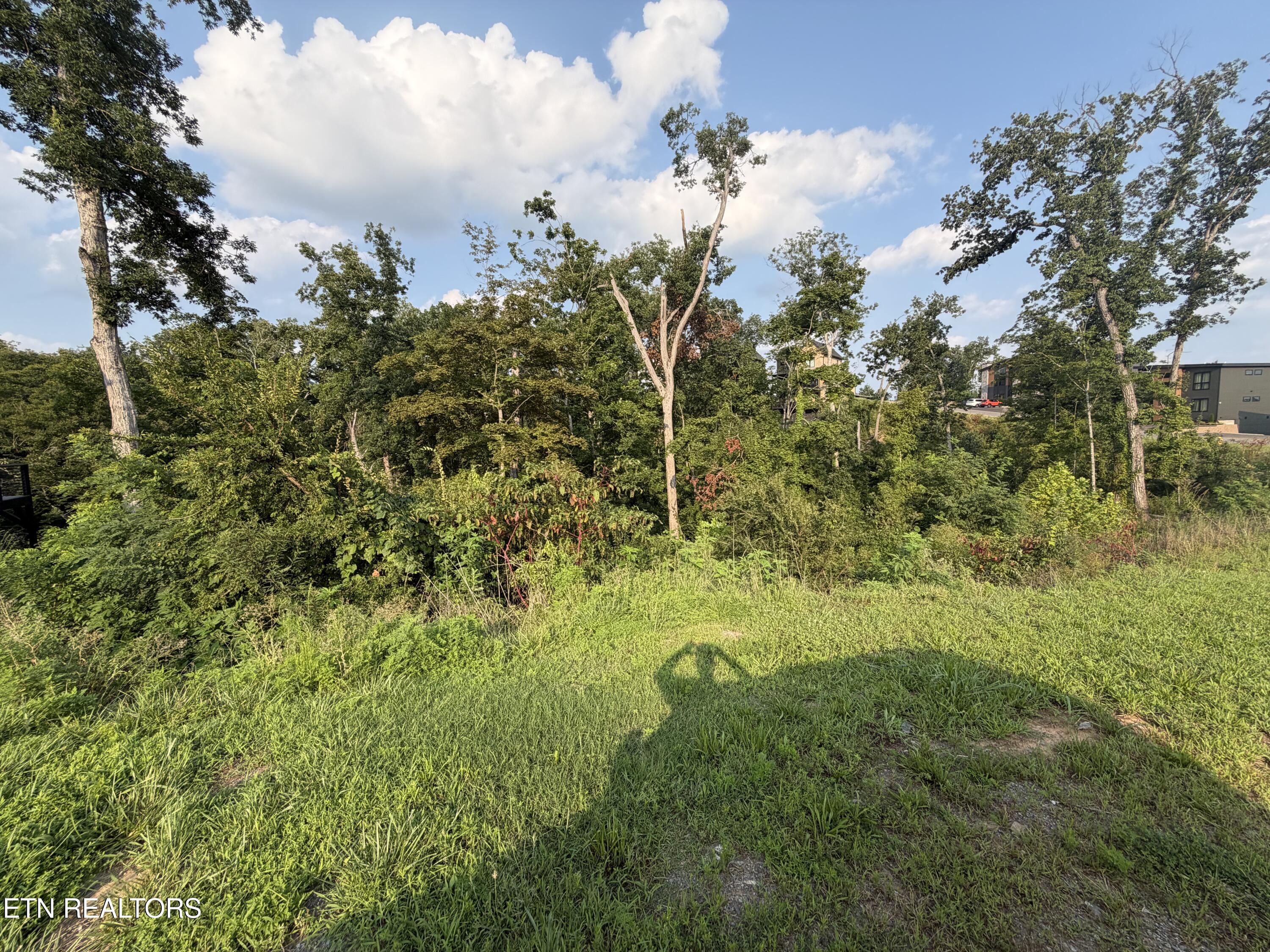 Lot 143 Reedmont Way Sevierville TN 37876