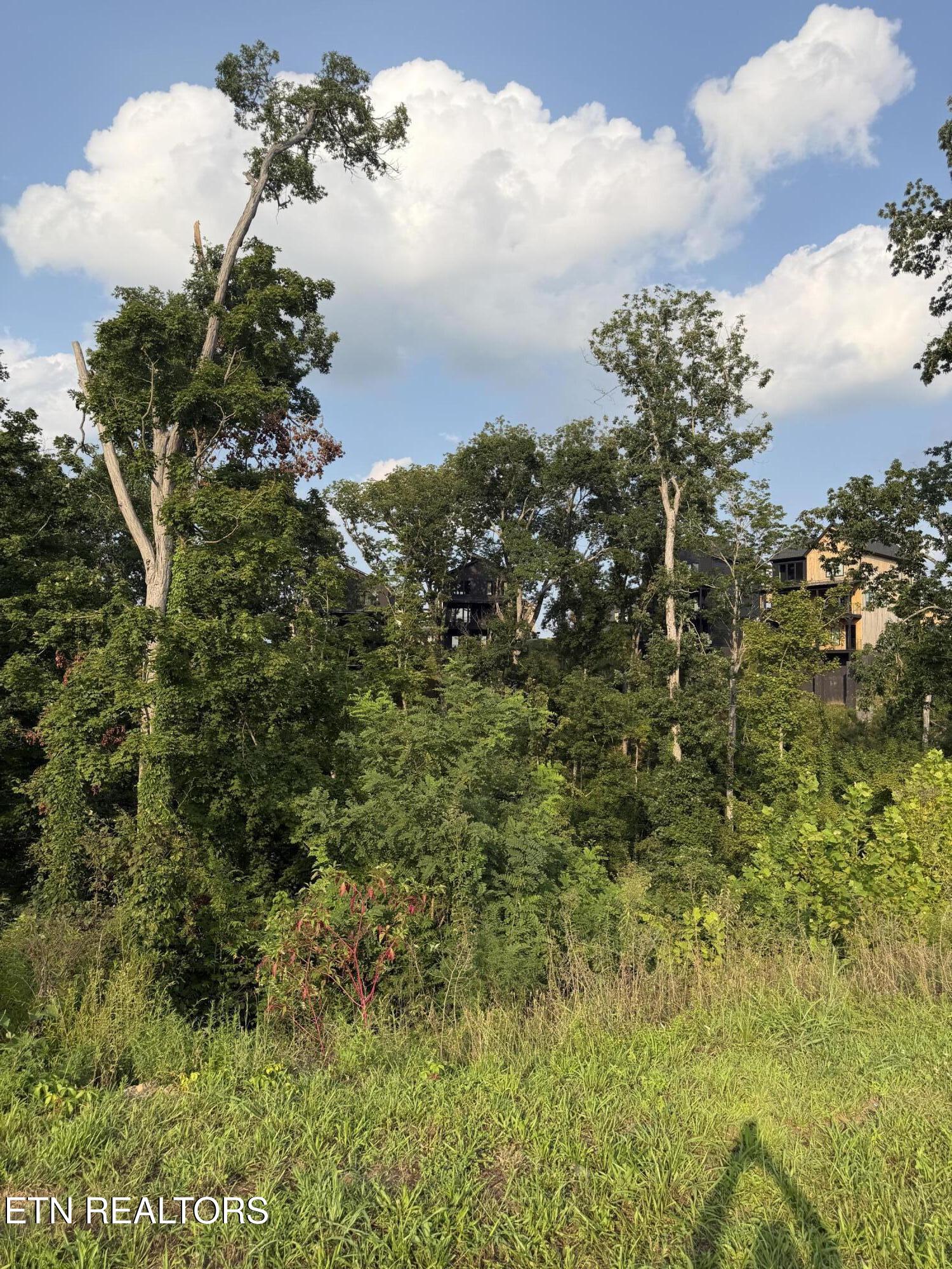 Lot 143 Reedmont Way Sevierville TN 37876