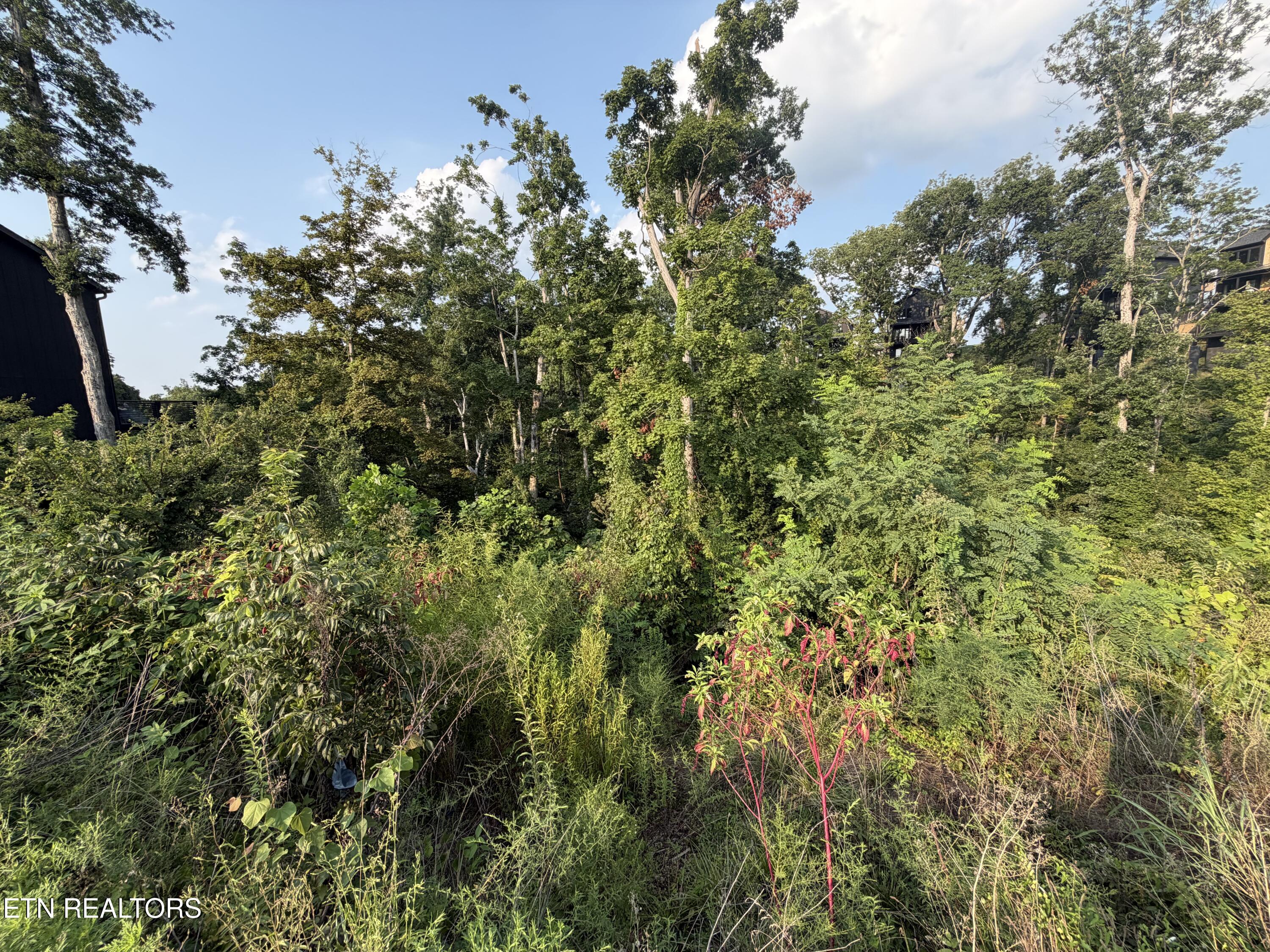 Lot 143 Reedmont Way Sevierville TN 37876
