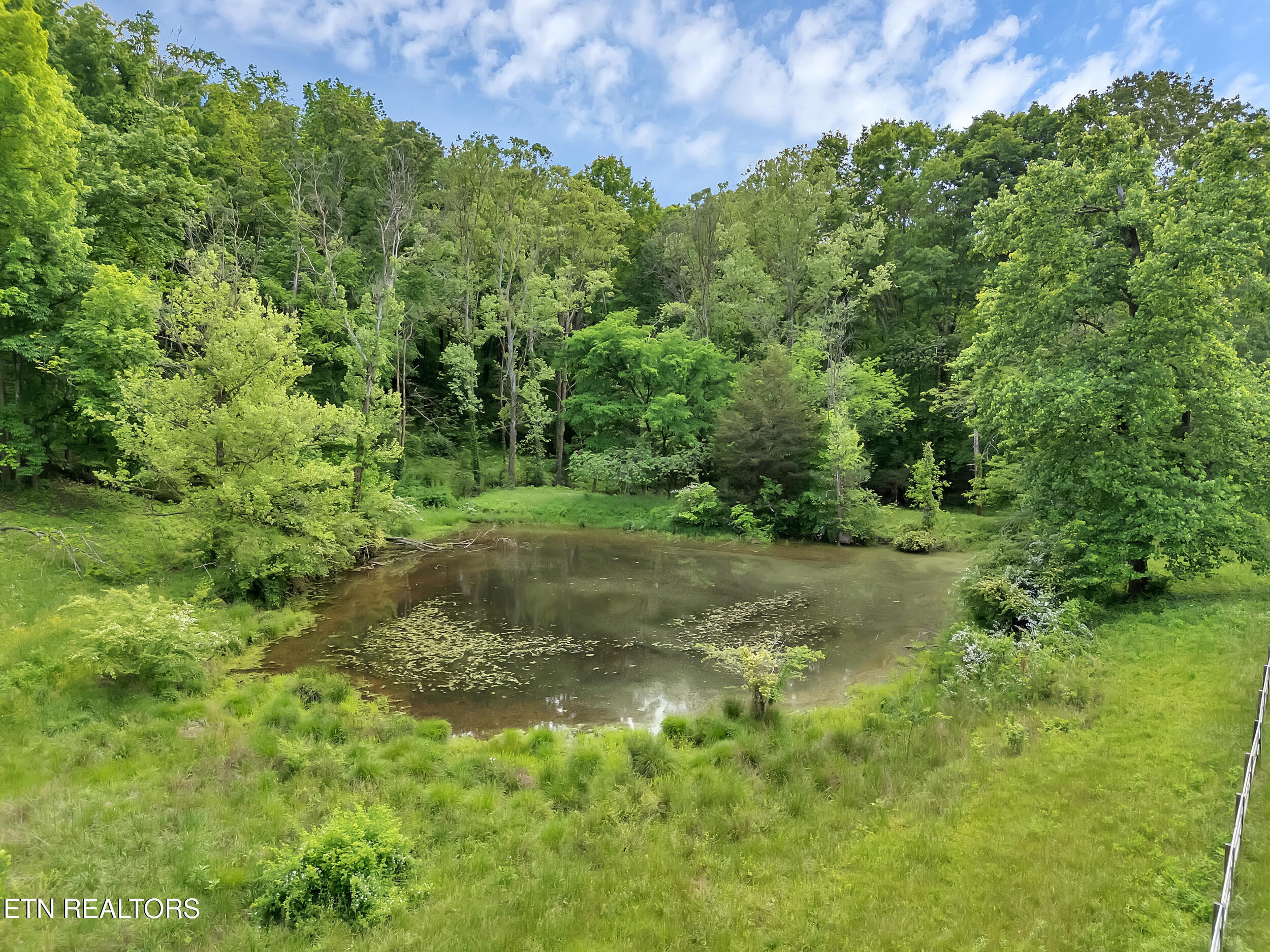 Marble Hill Road Friendsville TN 37737