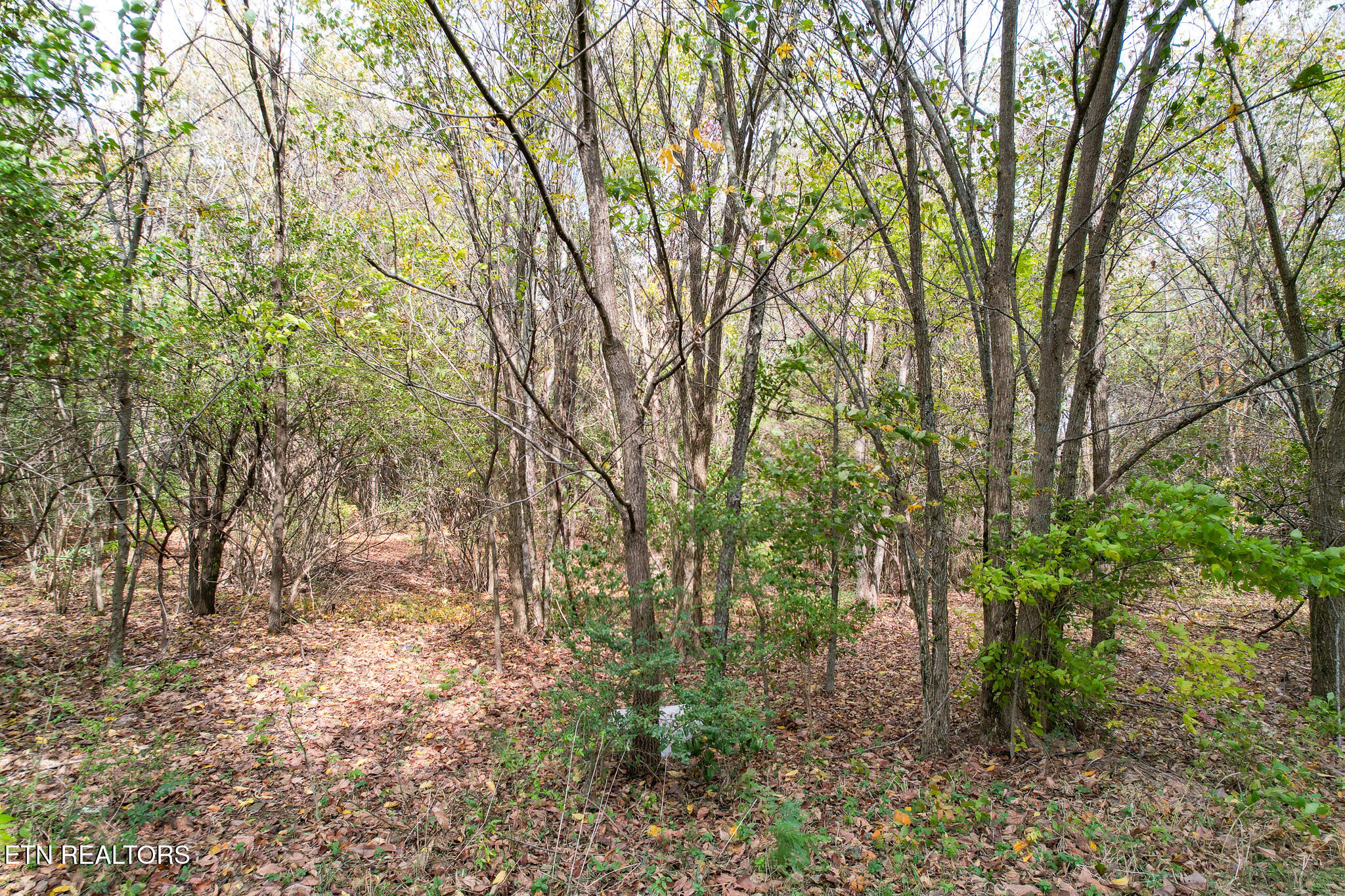 Tbd Morelock North / 25e Road Morristown TN 37813