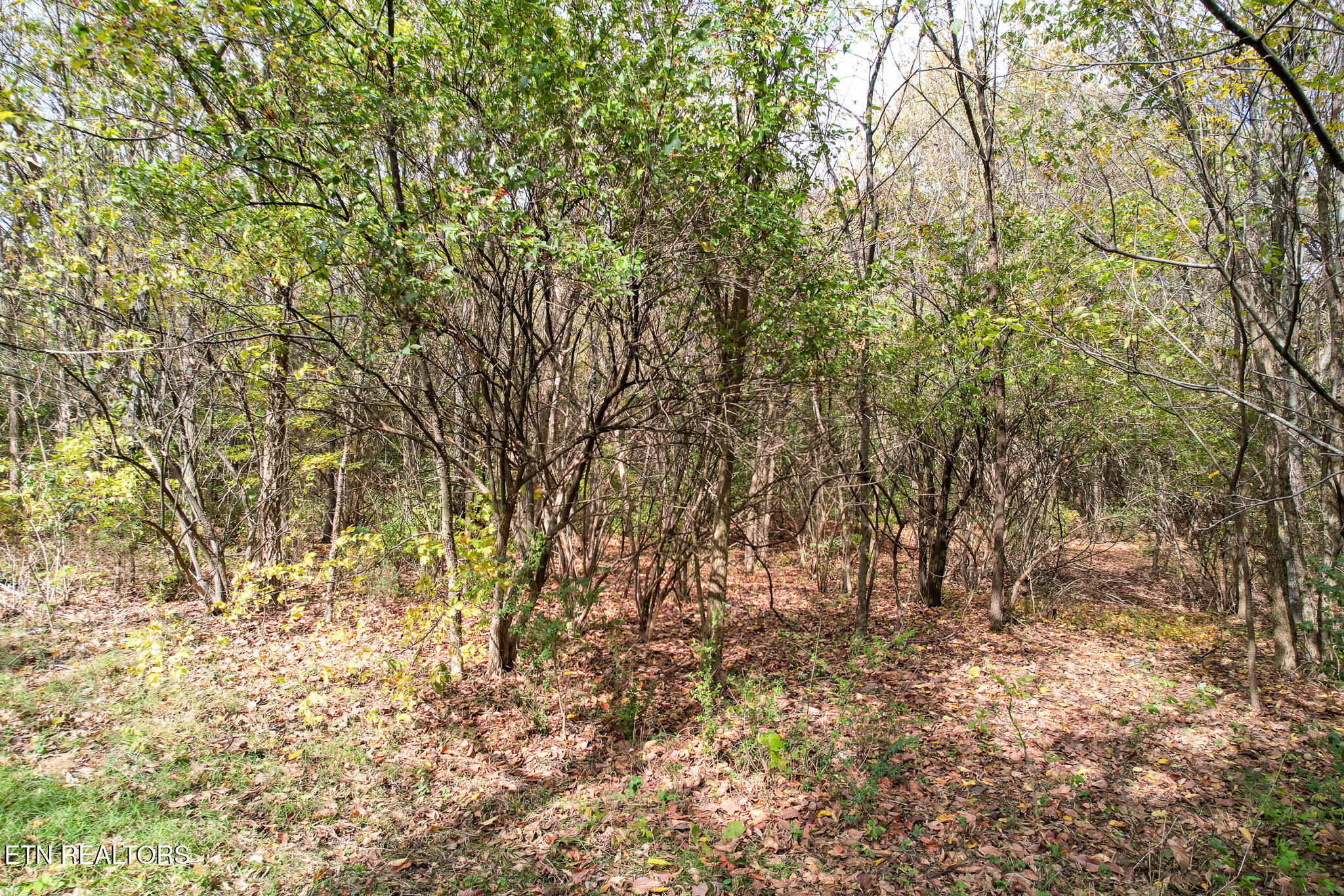 Tbd Morelock North / 25e Road Morristown TN 37813