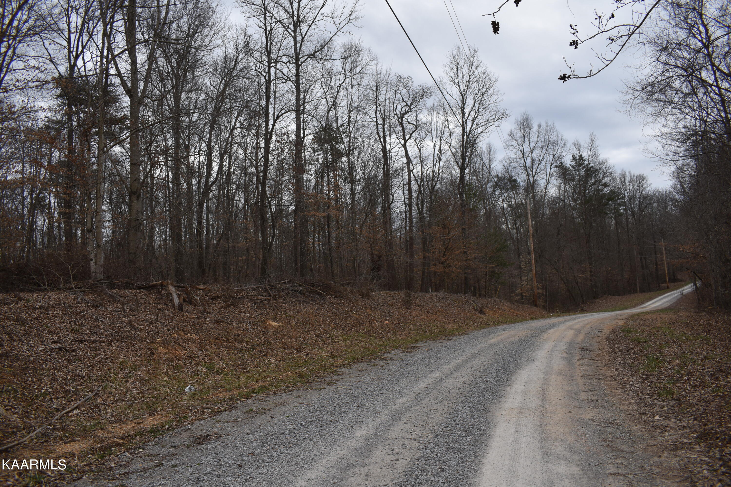 Lot 5 Jones Ridge Road Speedwell TN 37870