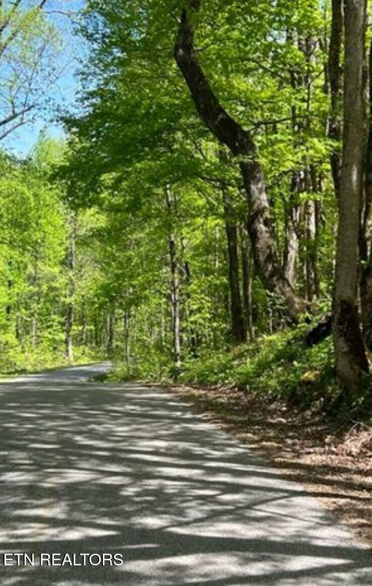 95.43 Acre Sheep Bluff Road Cookeville TN 38506
