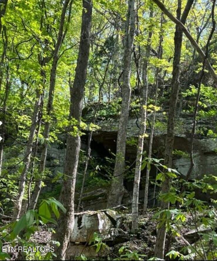 95.43 Acre Sheep Bluff Road Cookeville TN 38506