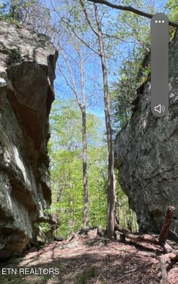 95.43 Acre Sheep Bluff Road Cookeville TN 38506
