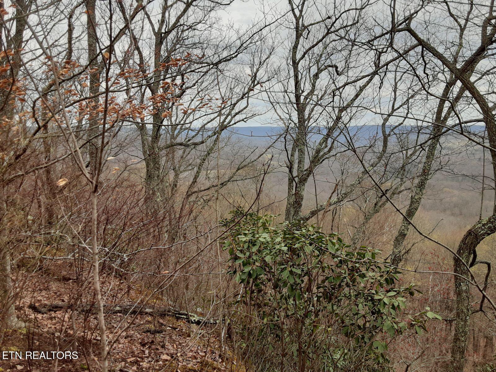 95.43 Acre Sheep Bluff Road Cookeville TN 38506