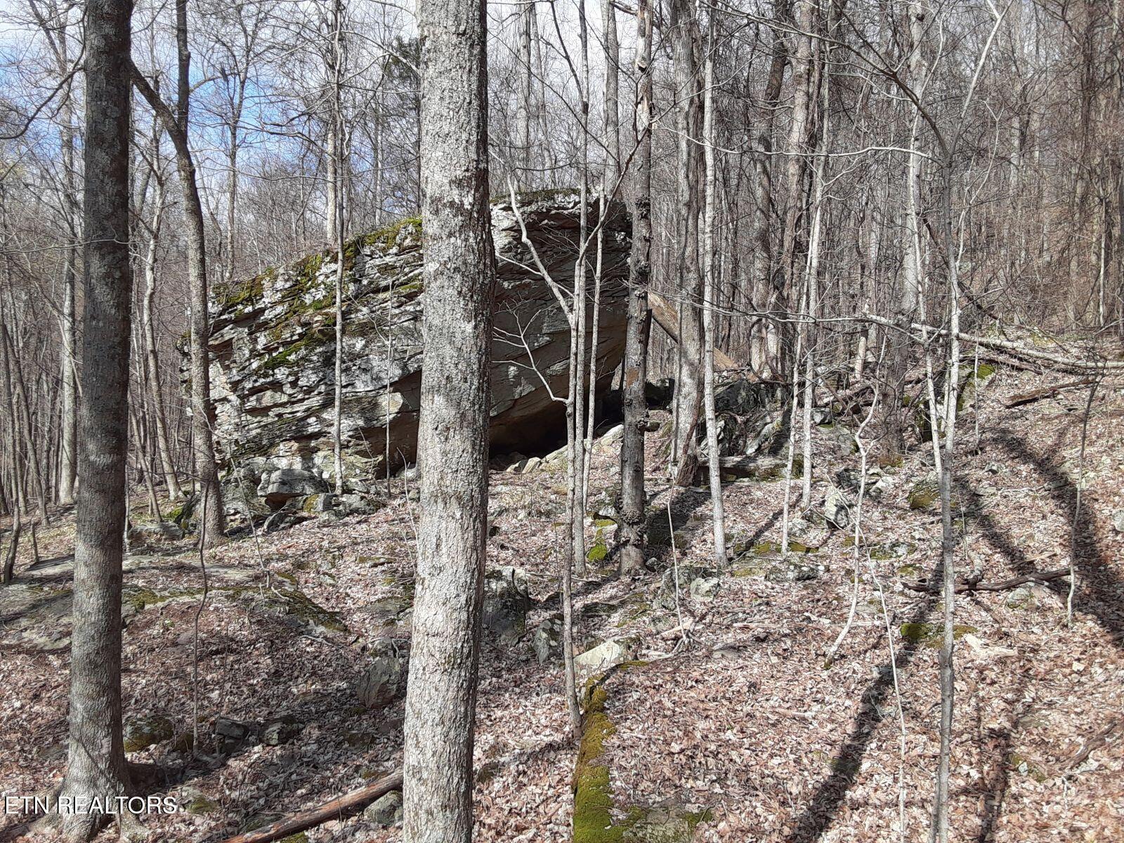 95.43 Acre Sheep Bluff Road Cookeville TN 38506