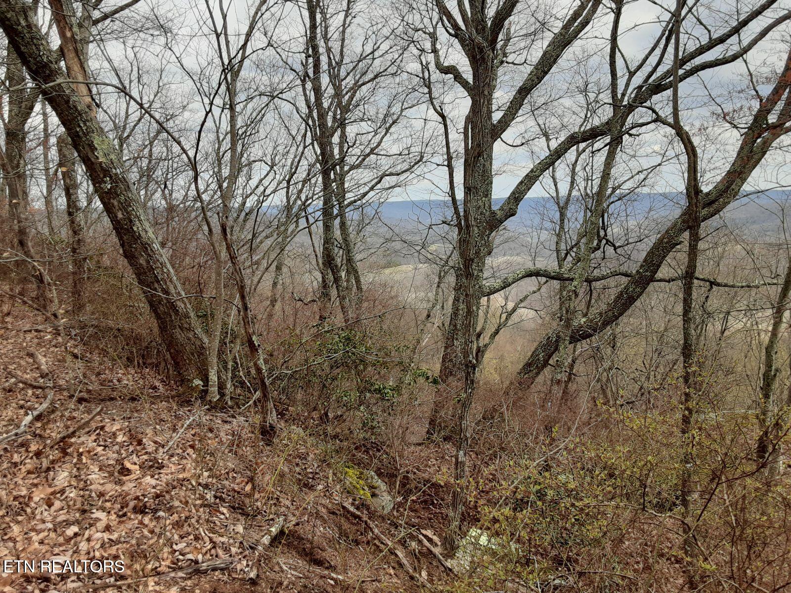 95.43 Acre Sheep Bluff Road Cookeville TN 38506