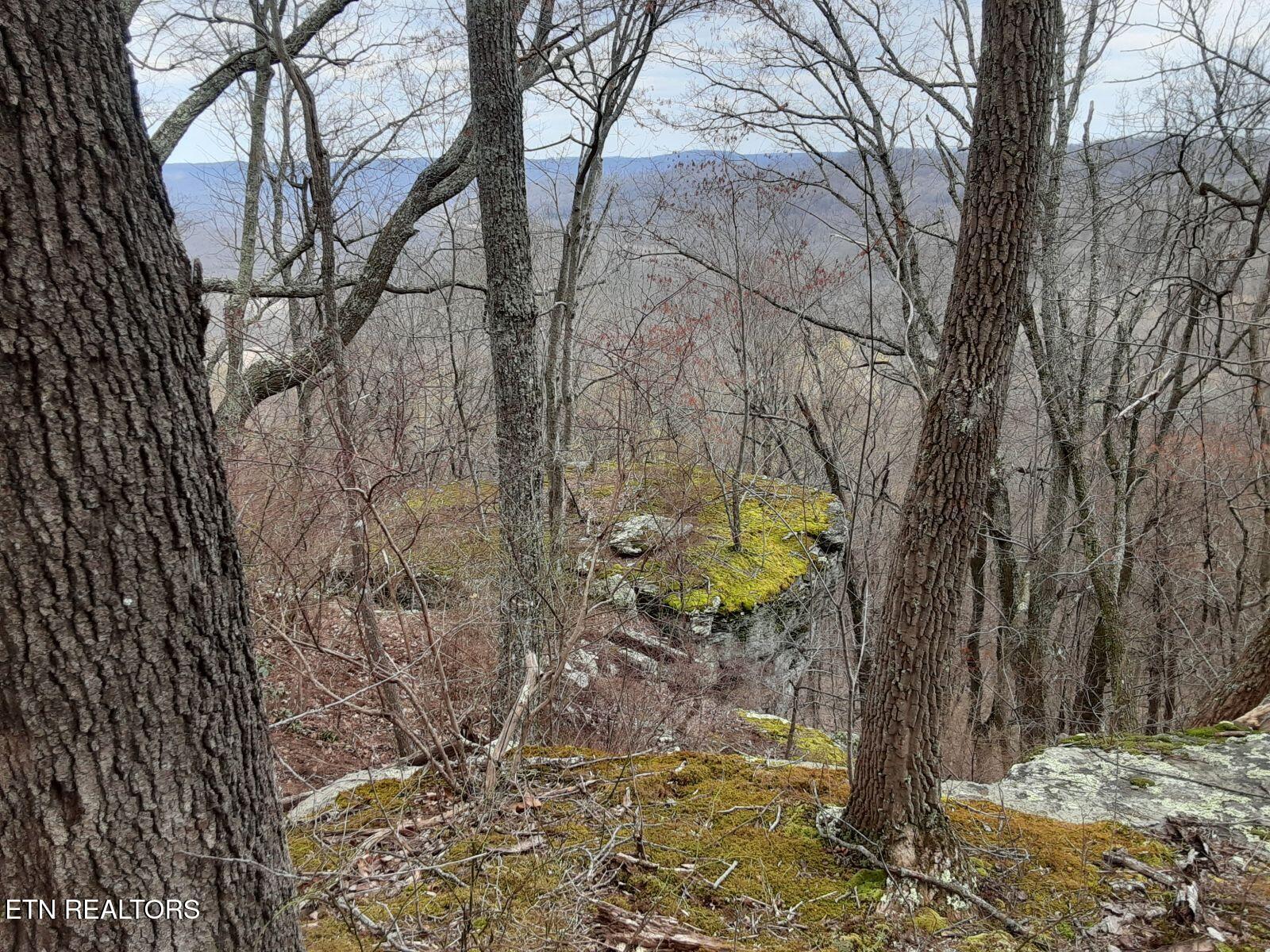 95.43 Acre Sheep Bluff Road Cookeville TN 38506
