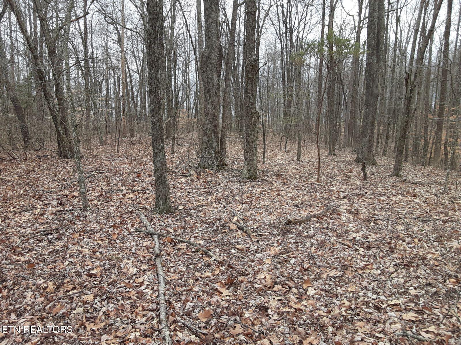 95.43 Acre Sheep Bluff Road Cookeville TN 38506