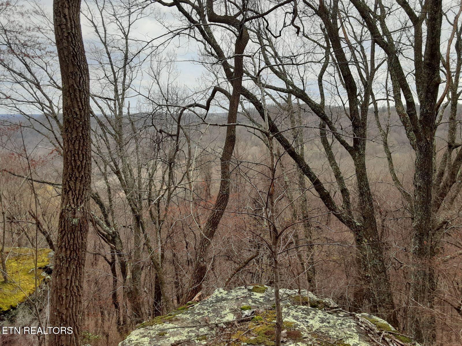95.43 Acre Sheep Bluff Road Cookeville TN 38506