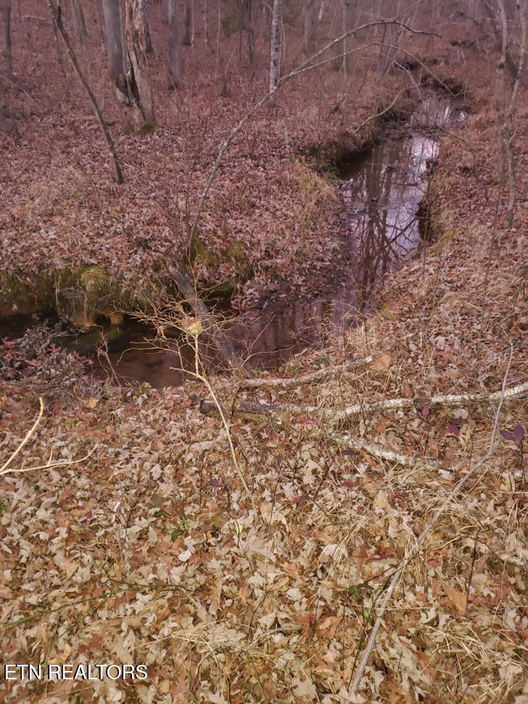 Lot 45 Indian Trail Monterey TN 38574