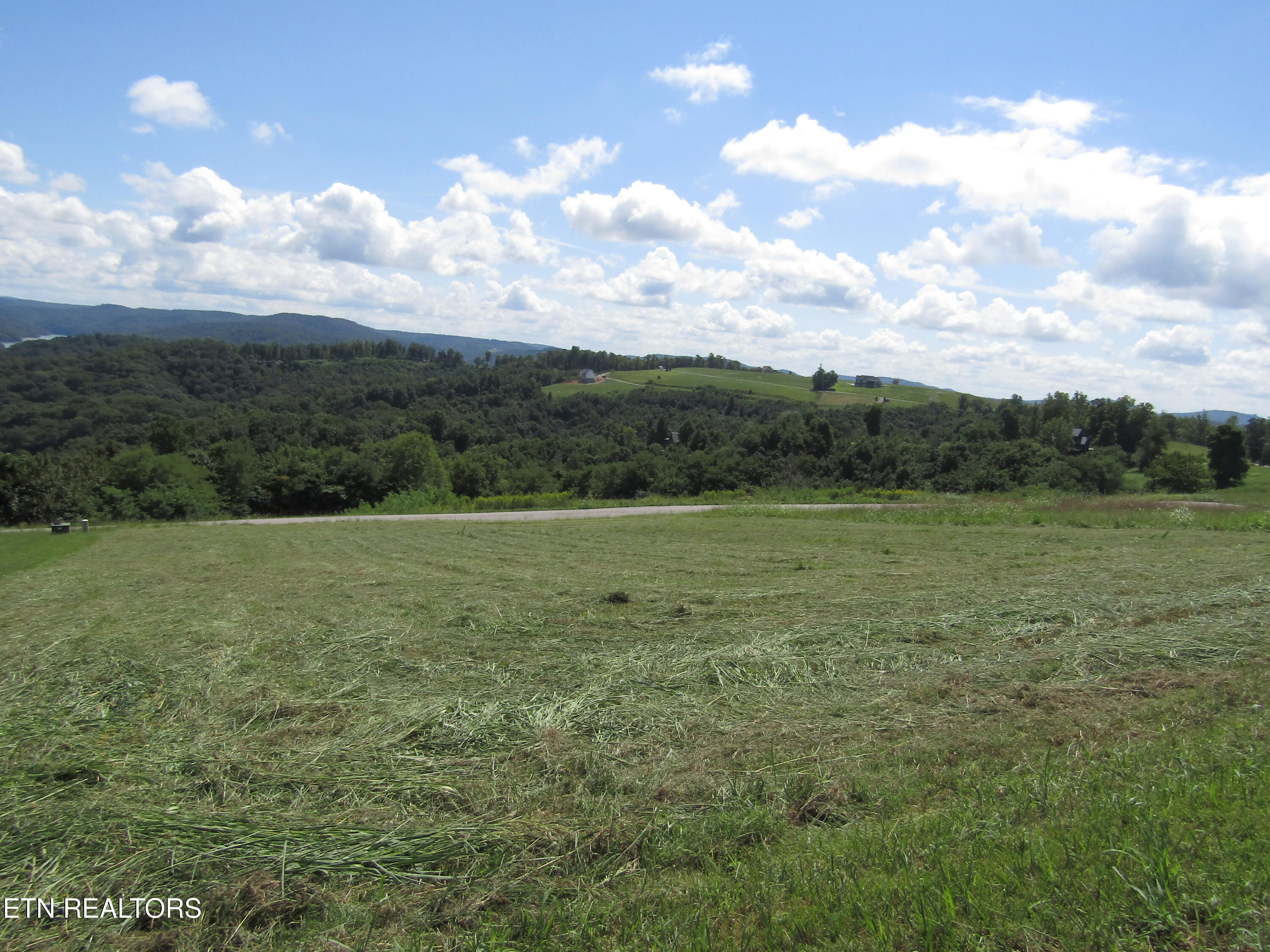 48 E Swan Ridge Road Hilham TN 38568