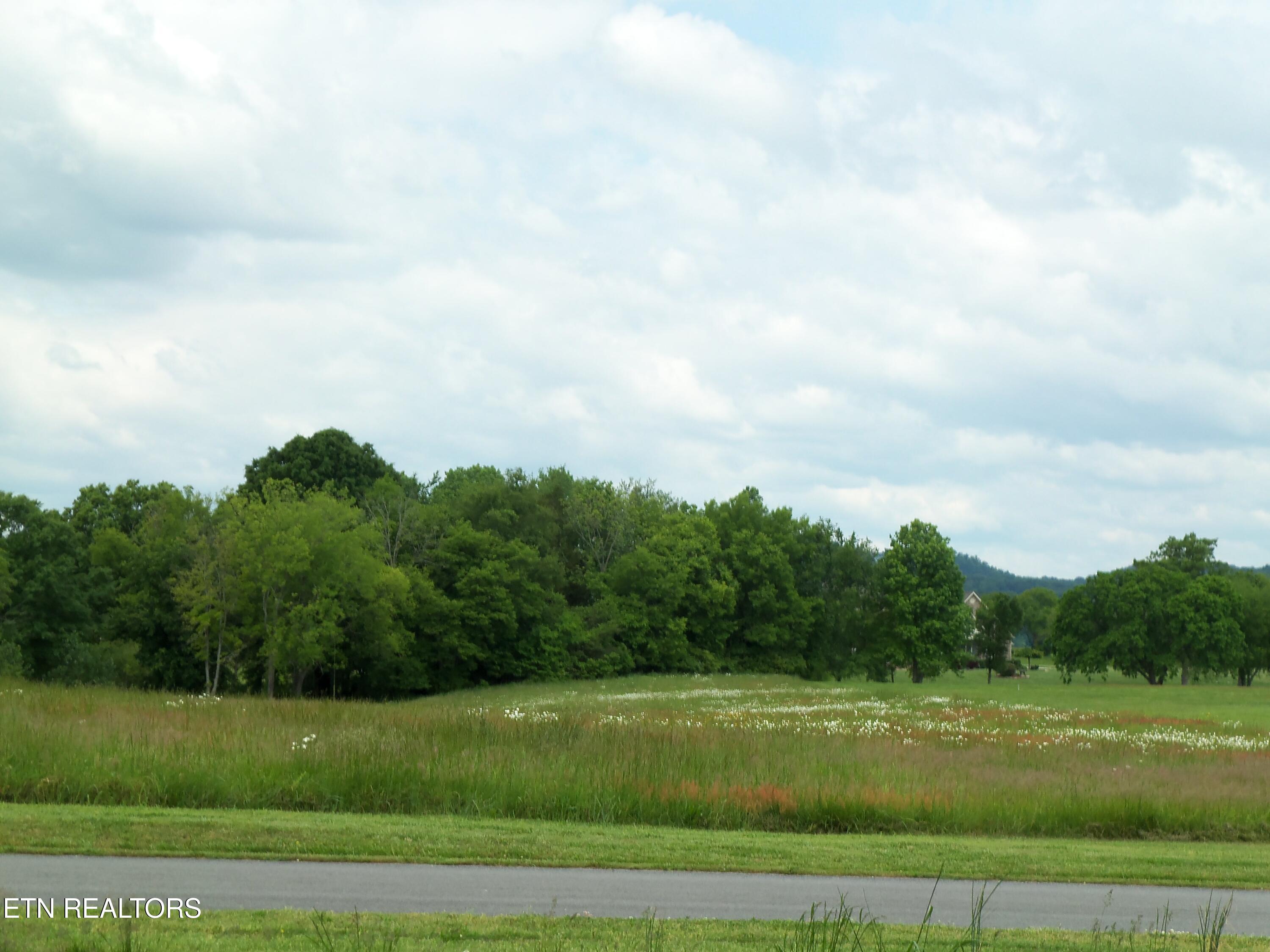 000 Tucker Place Way Dandridge TN 37725