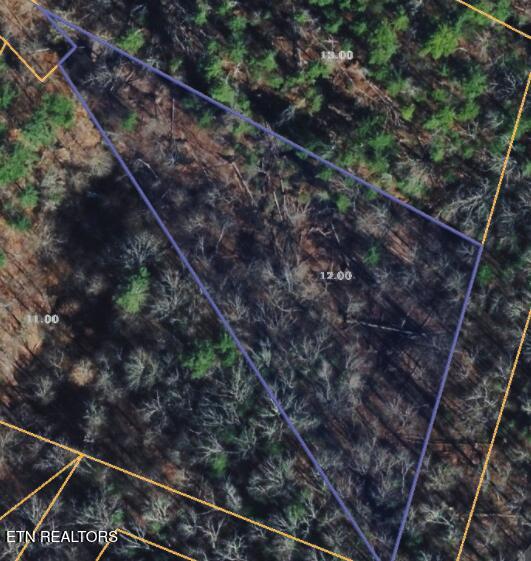 251 Mine Hollow Road Reliance TN 37369