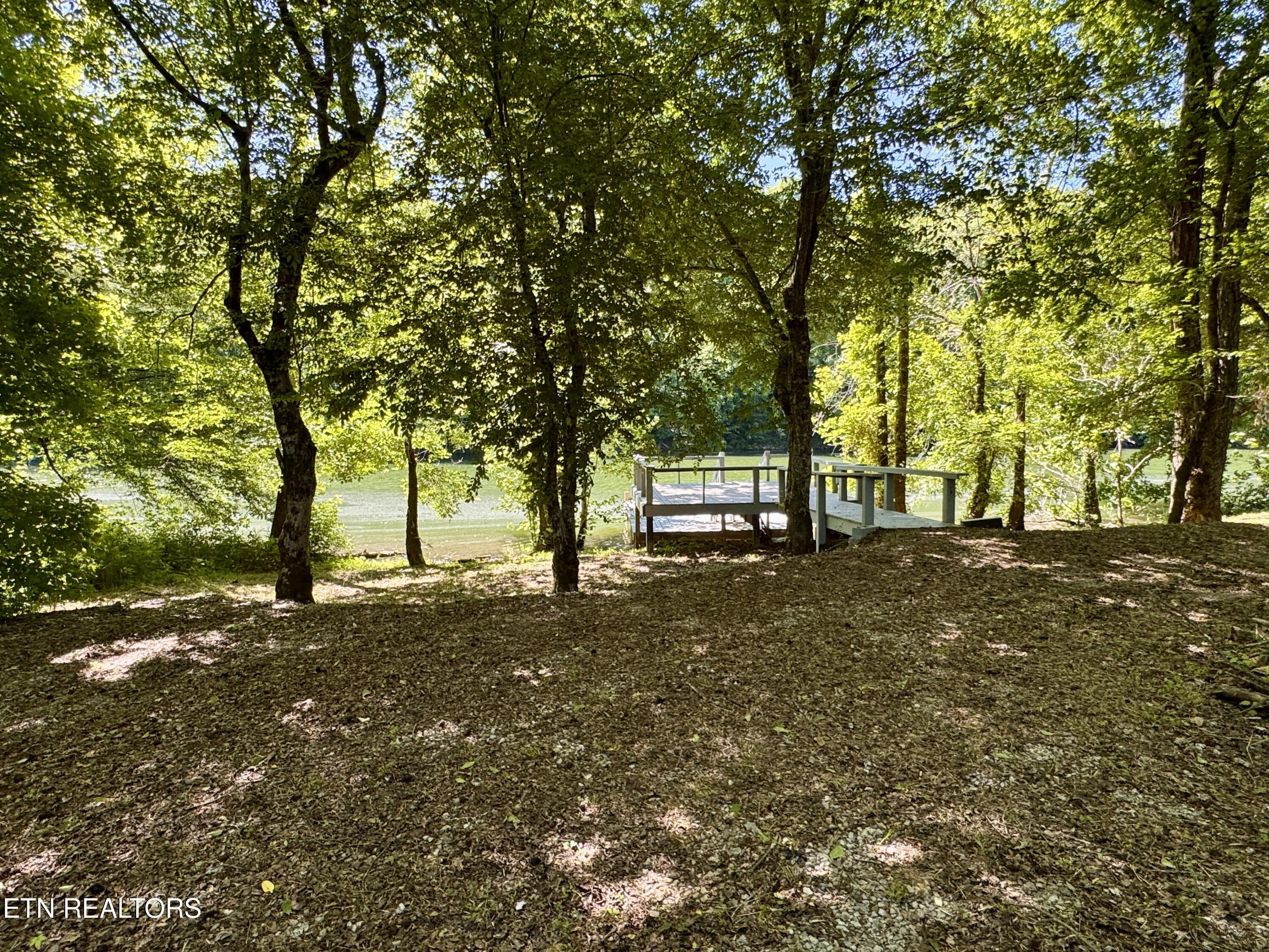 Sparta TN 38583
