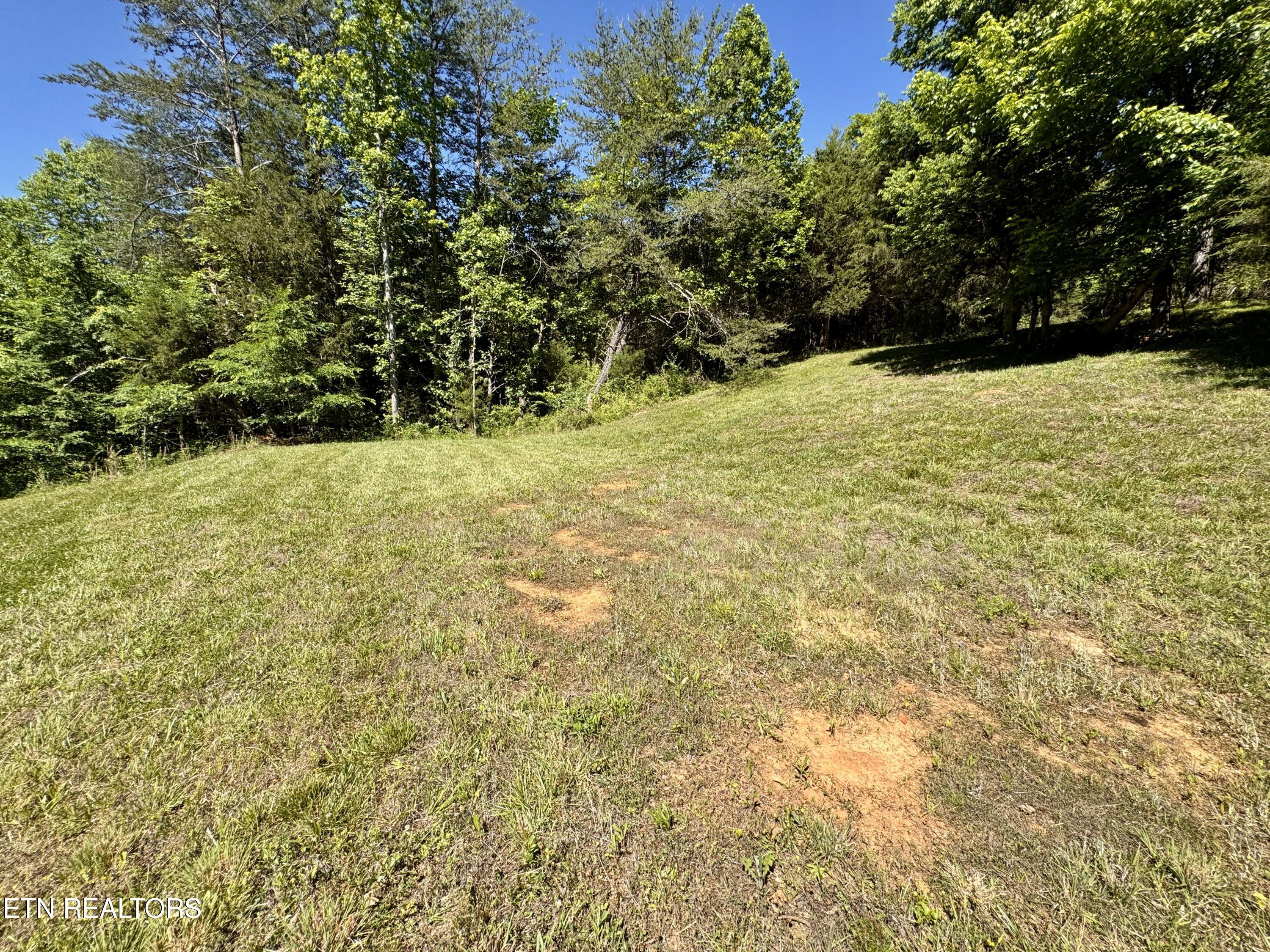 Sparta TN 38583