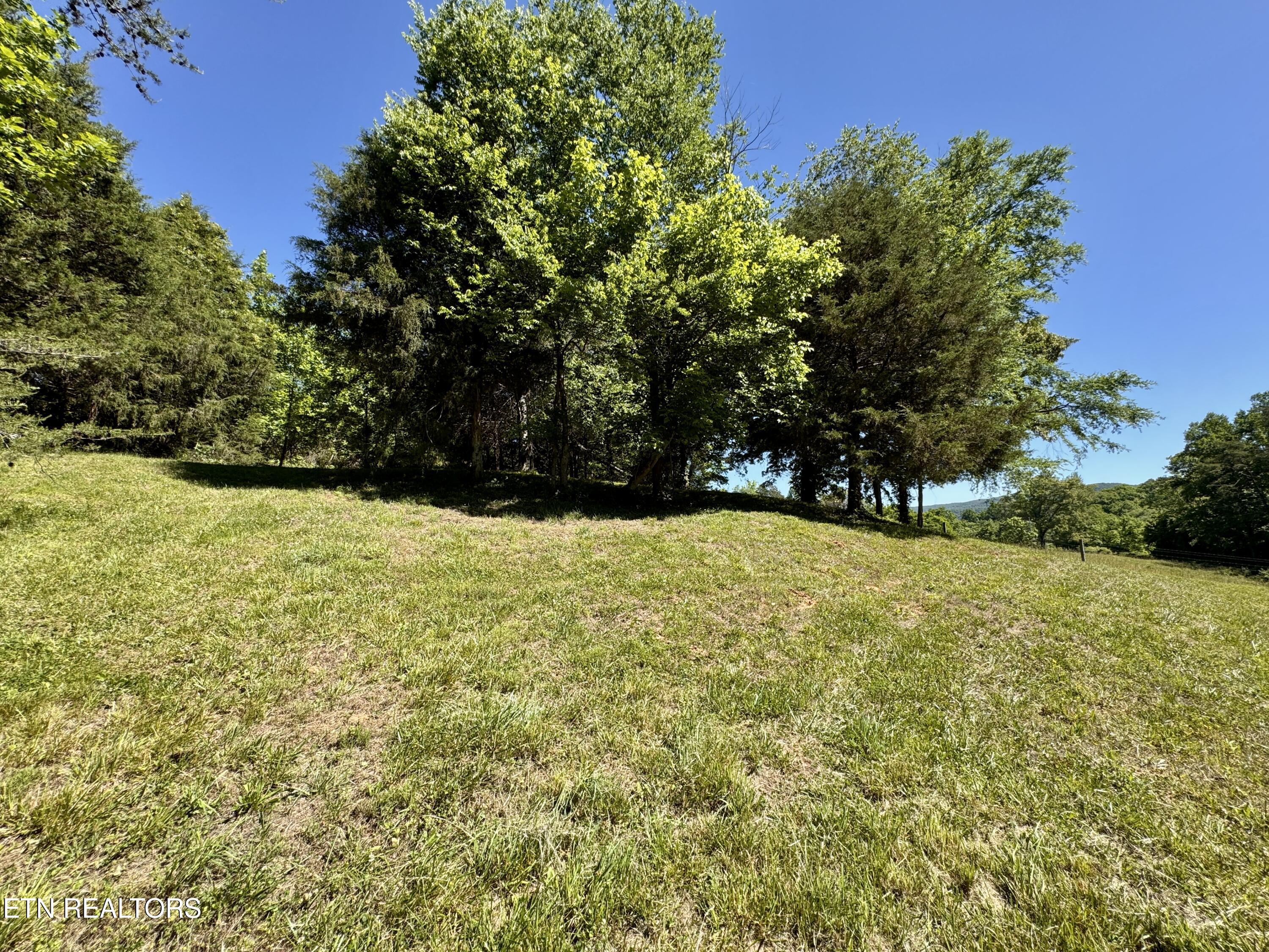 Sparta TN 38583