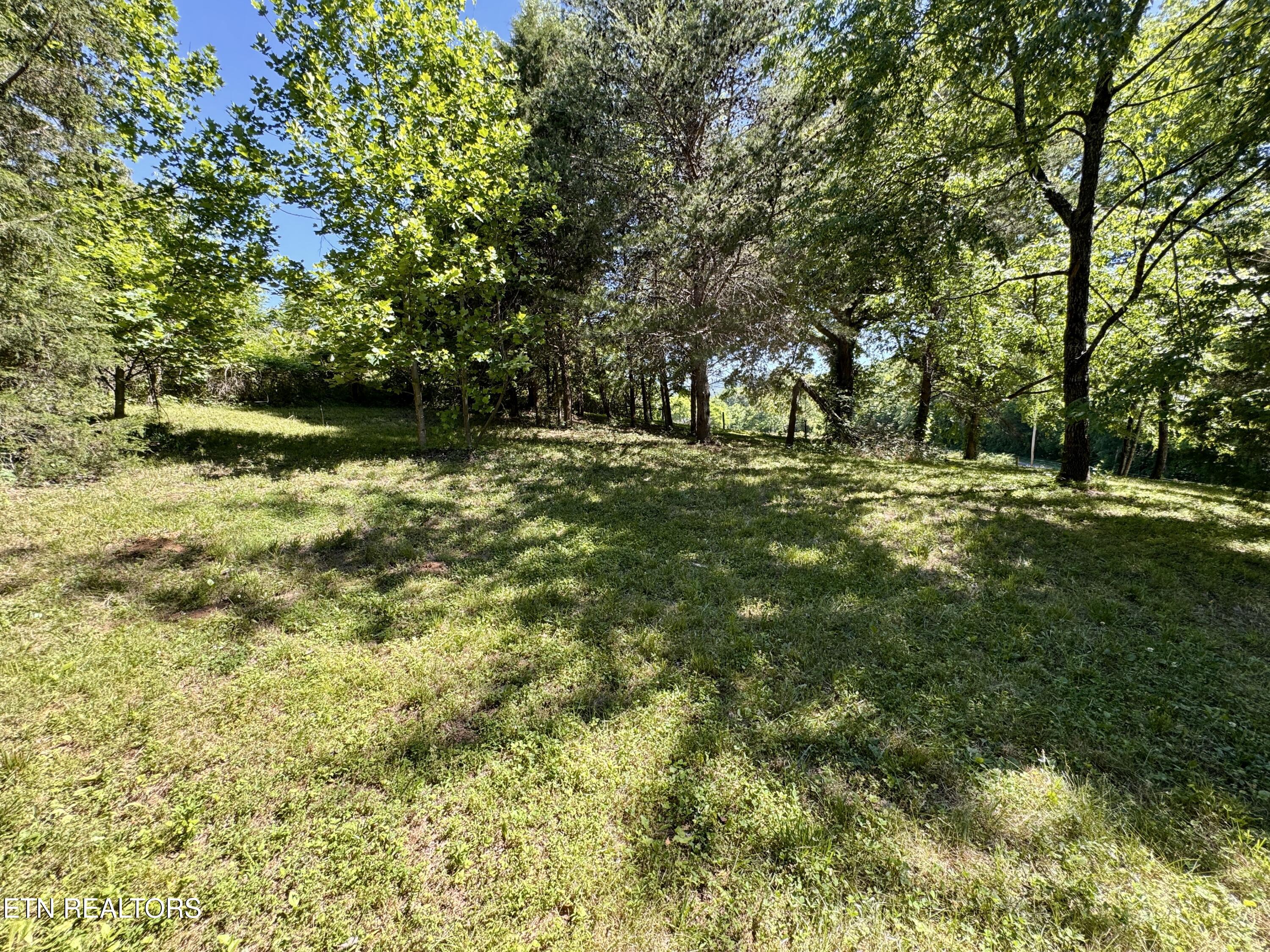 Sparta TN 38583
