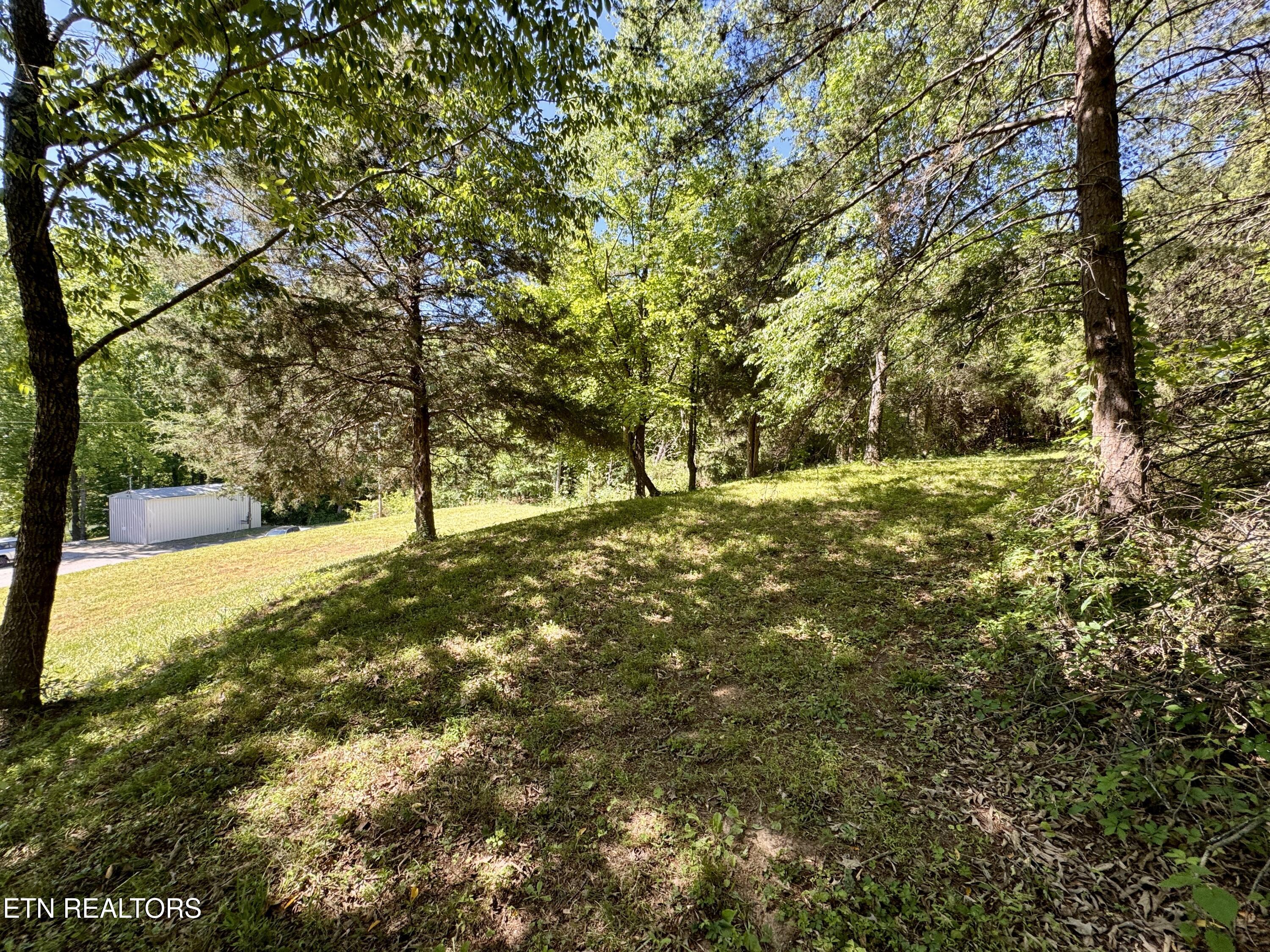 Sparta TN 38583