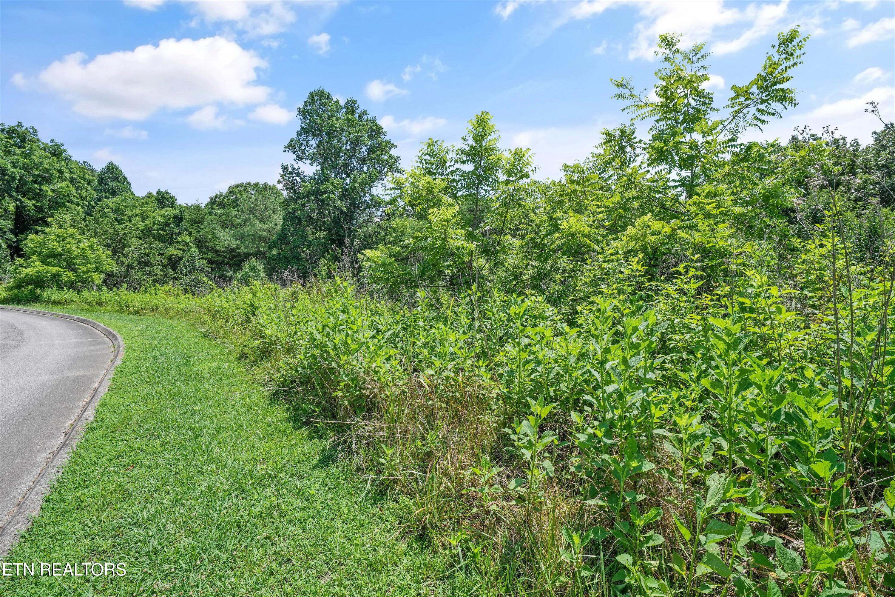 Lot 2 Malea Lane Kingston TN 37763