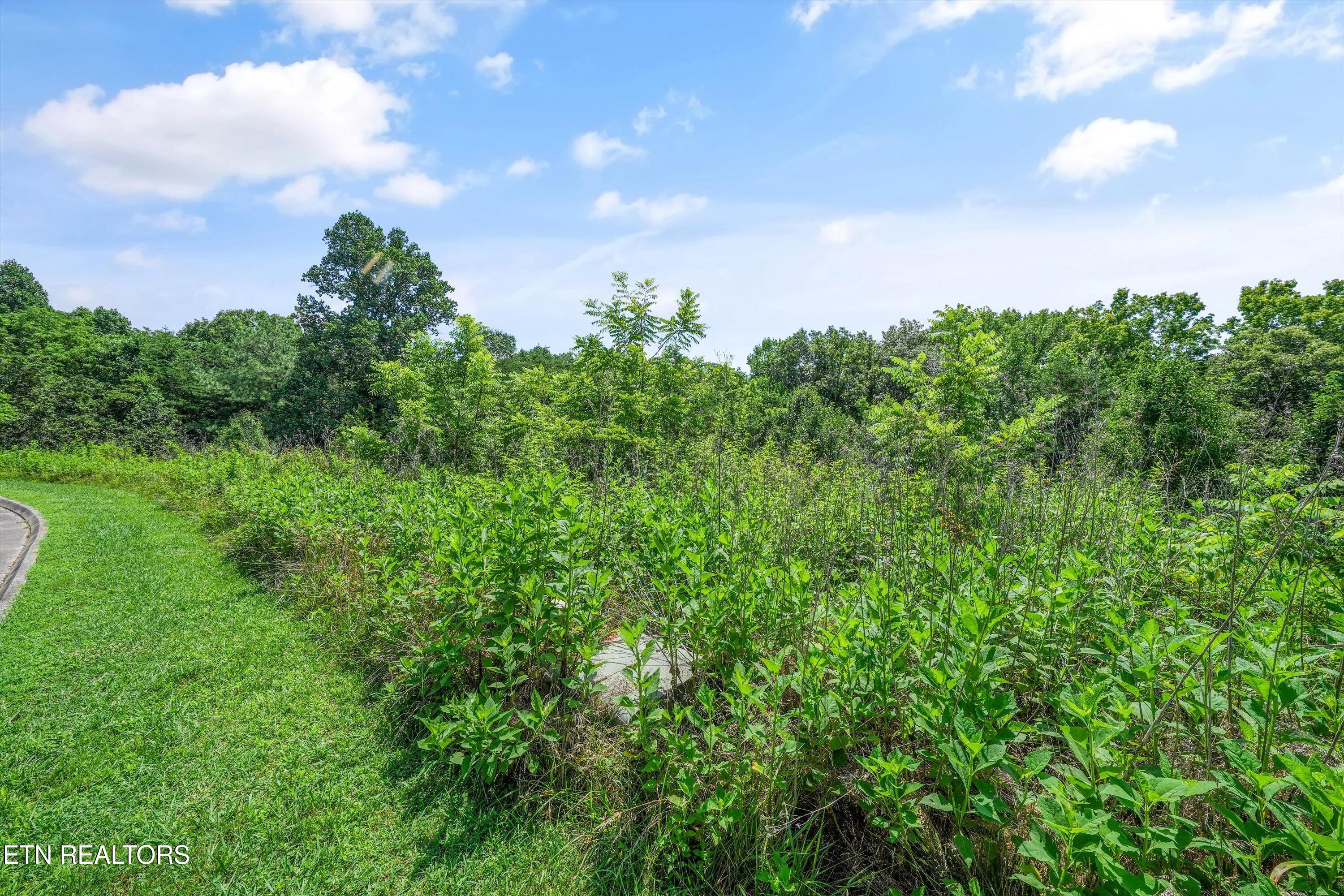 Lot 2 Malea Lane Kingston TN 37763