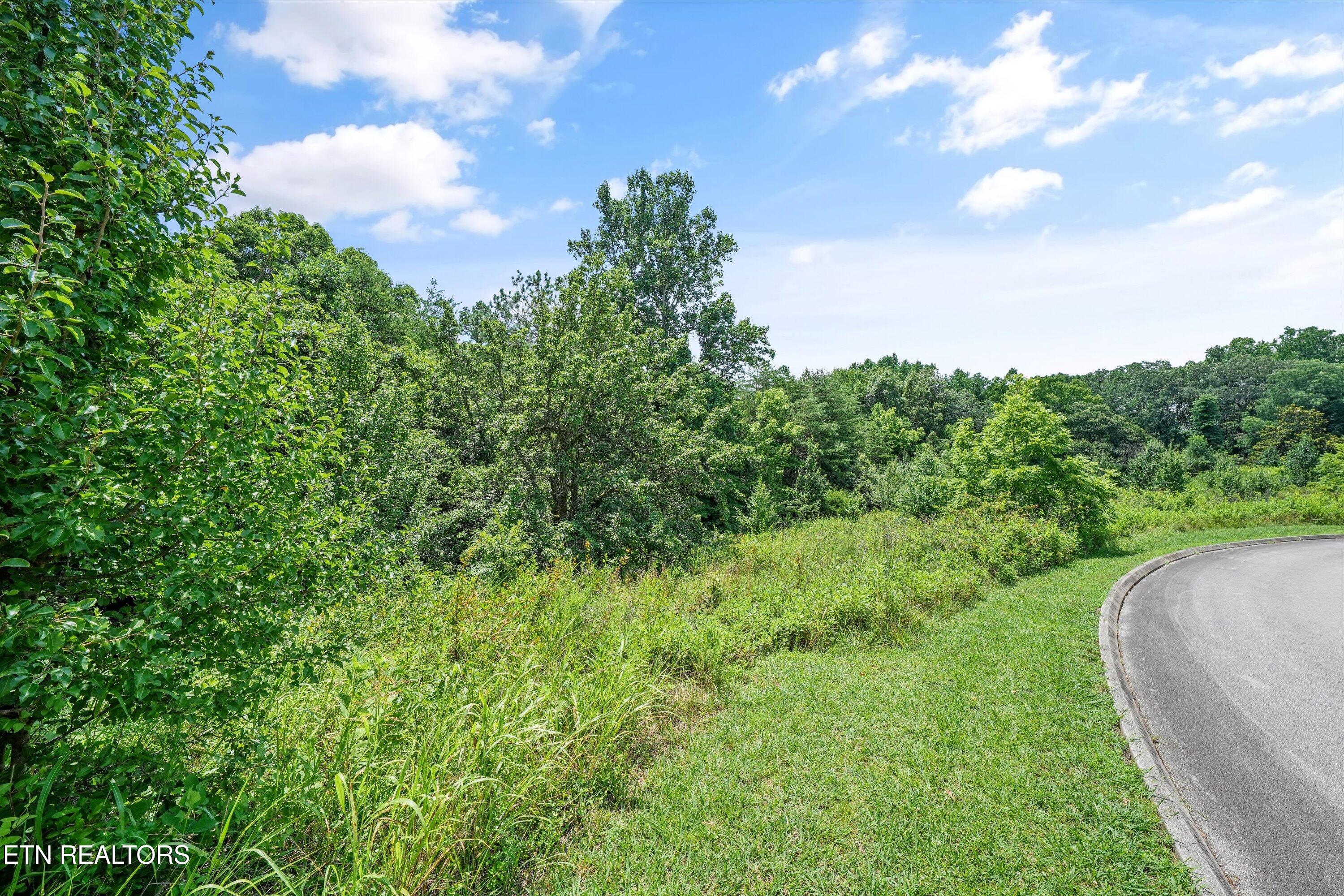 Lot 2 Malea Lane Kingston TN 37763