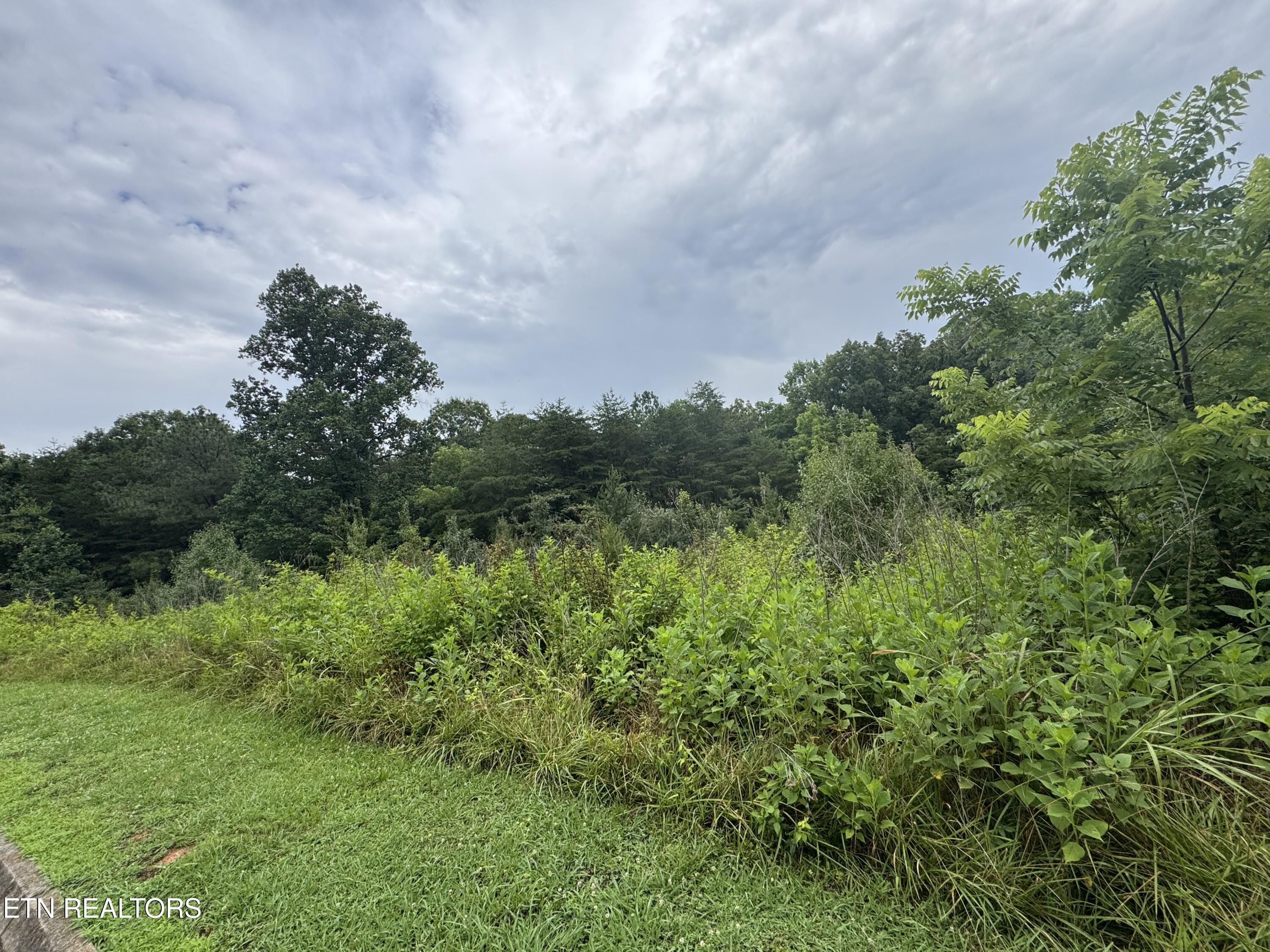 Malea Lane Kingston TN 37763