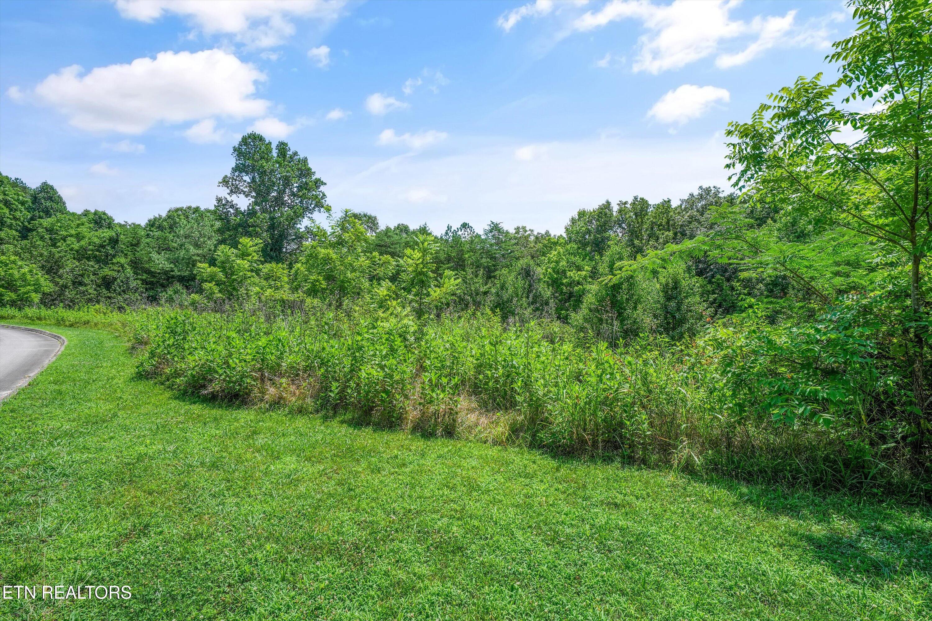 Lot 2 Malea Lane Kingston TN 37763