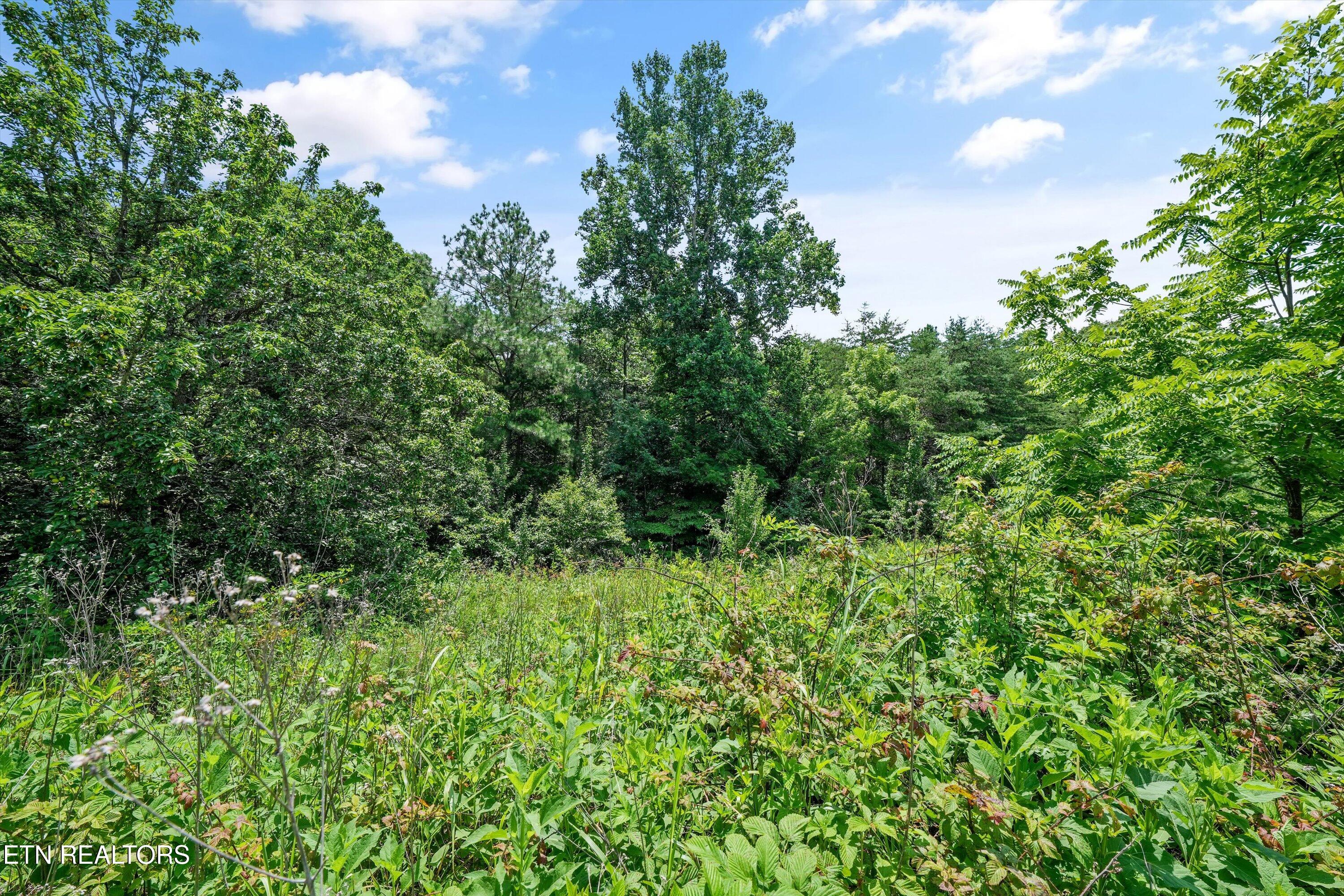Lot 2 Malea Lane Kingston TN 37763