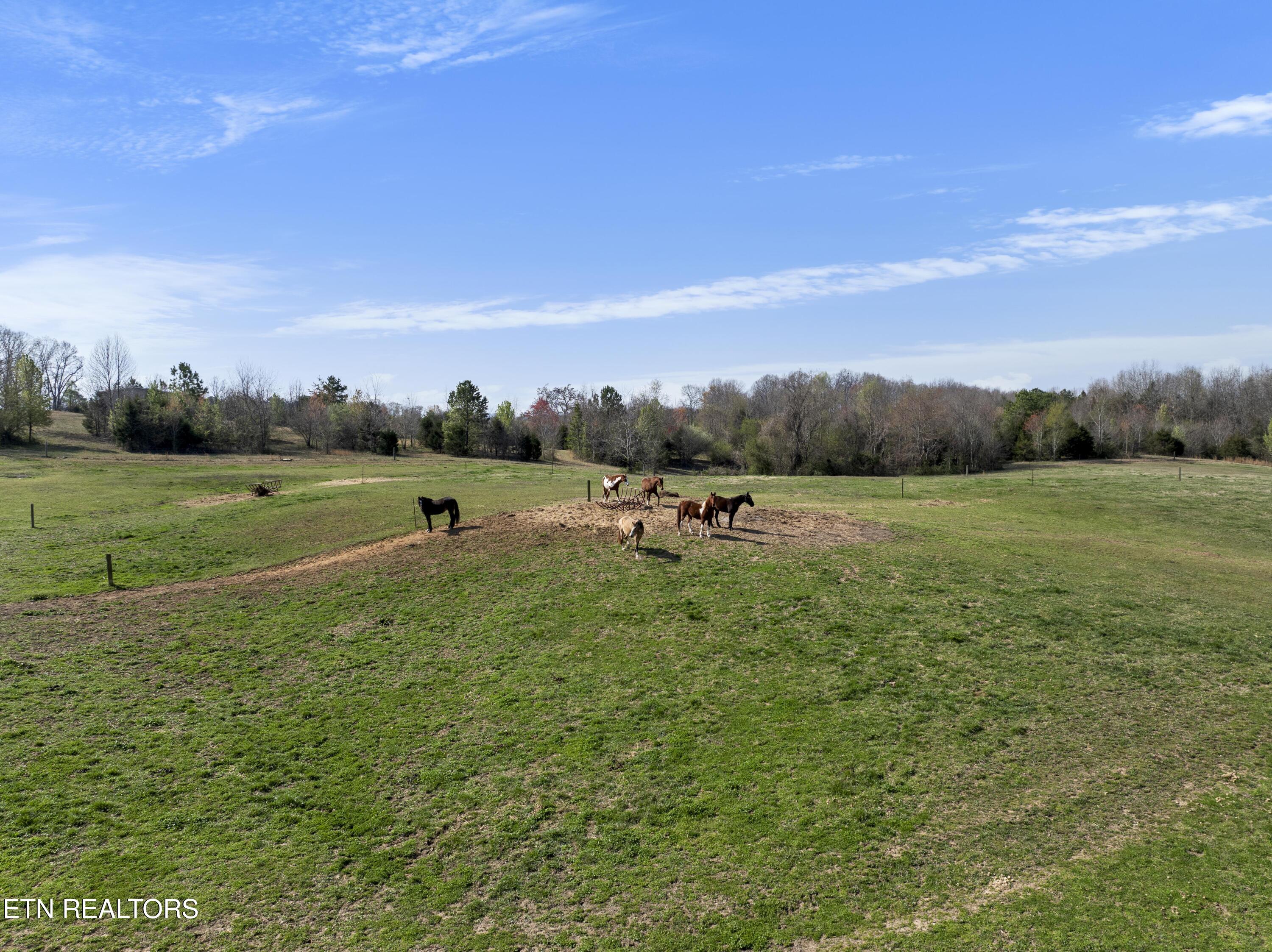 5816 Caldwell Road Loudon TN 37774
