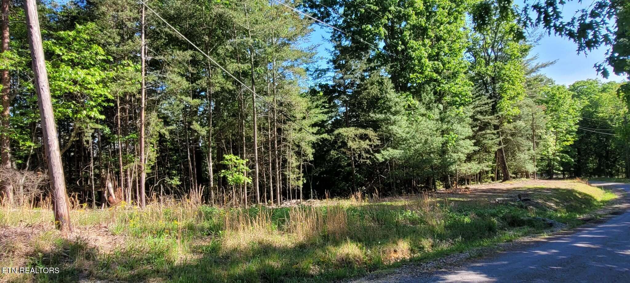 1.23 Acres Dogwood Court Spring City TN 37381