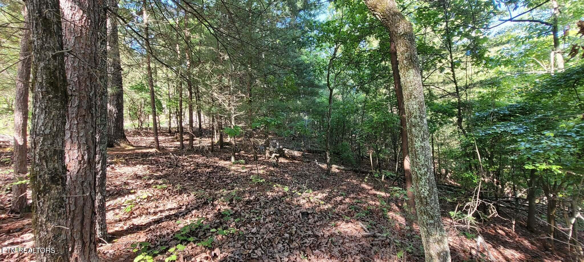 1.23 Acres Dogwood Court Spring City TN 37381