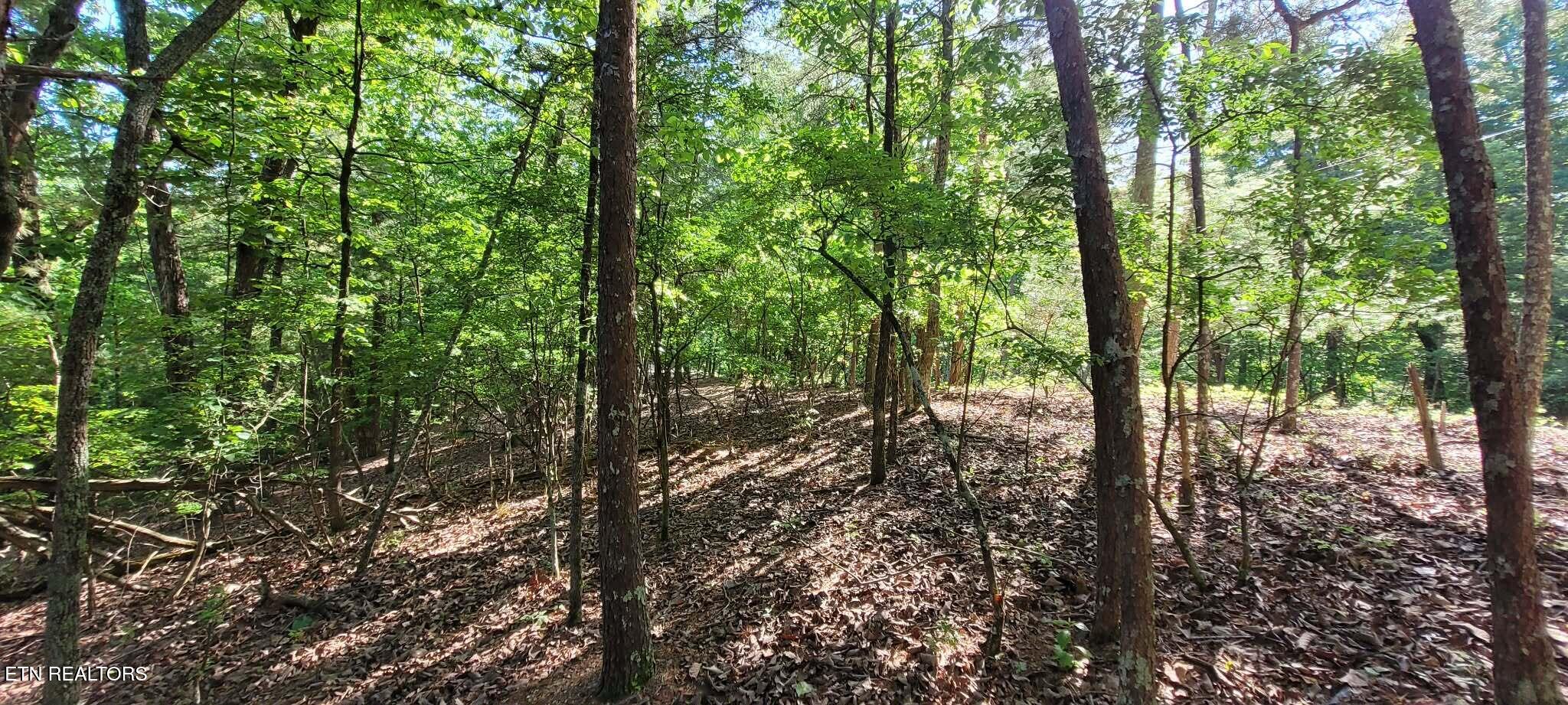 1.23 Acres Dogwood Court Spring City TN 37381
