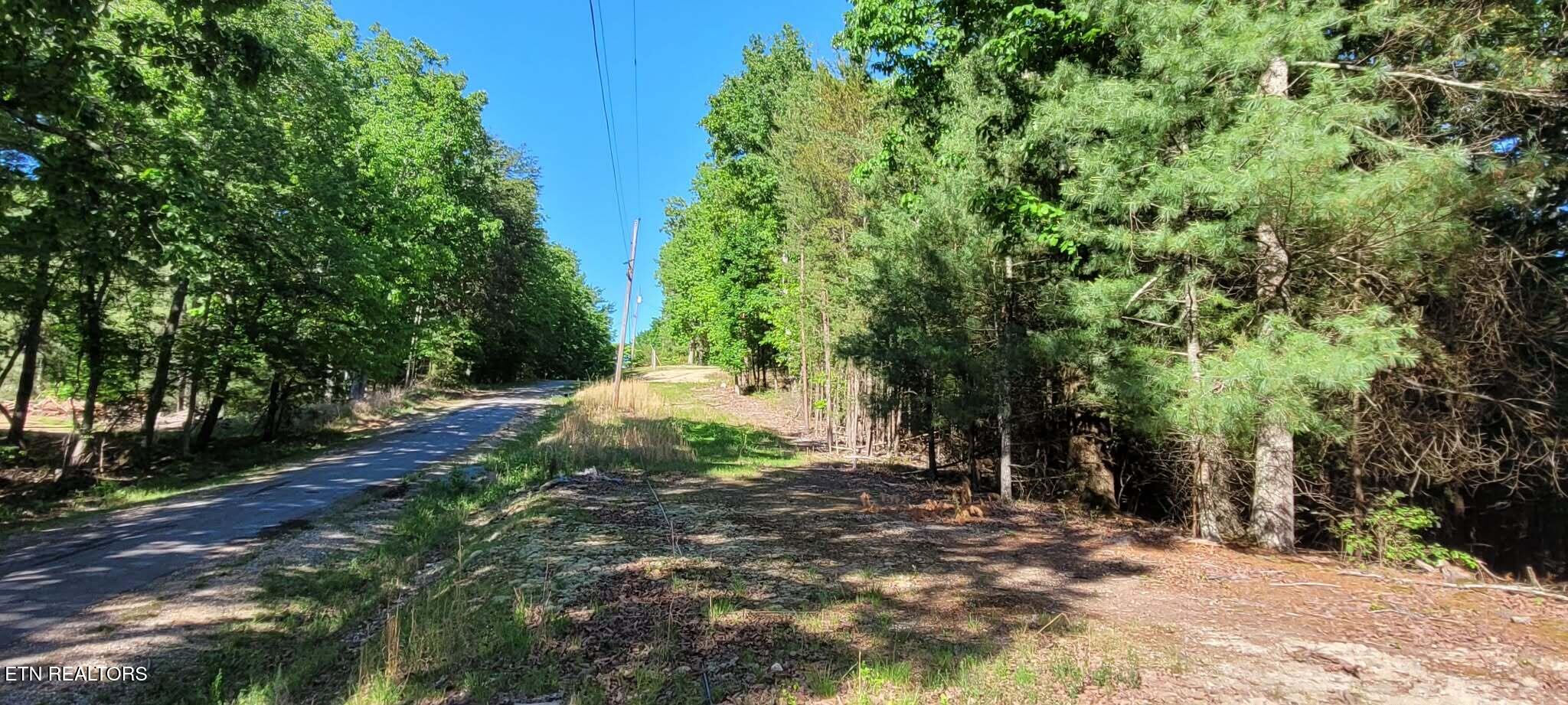1.23 Acres Dogwood Court Spring City TN 37381