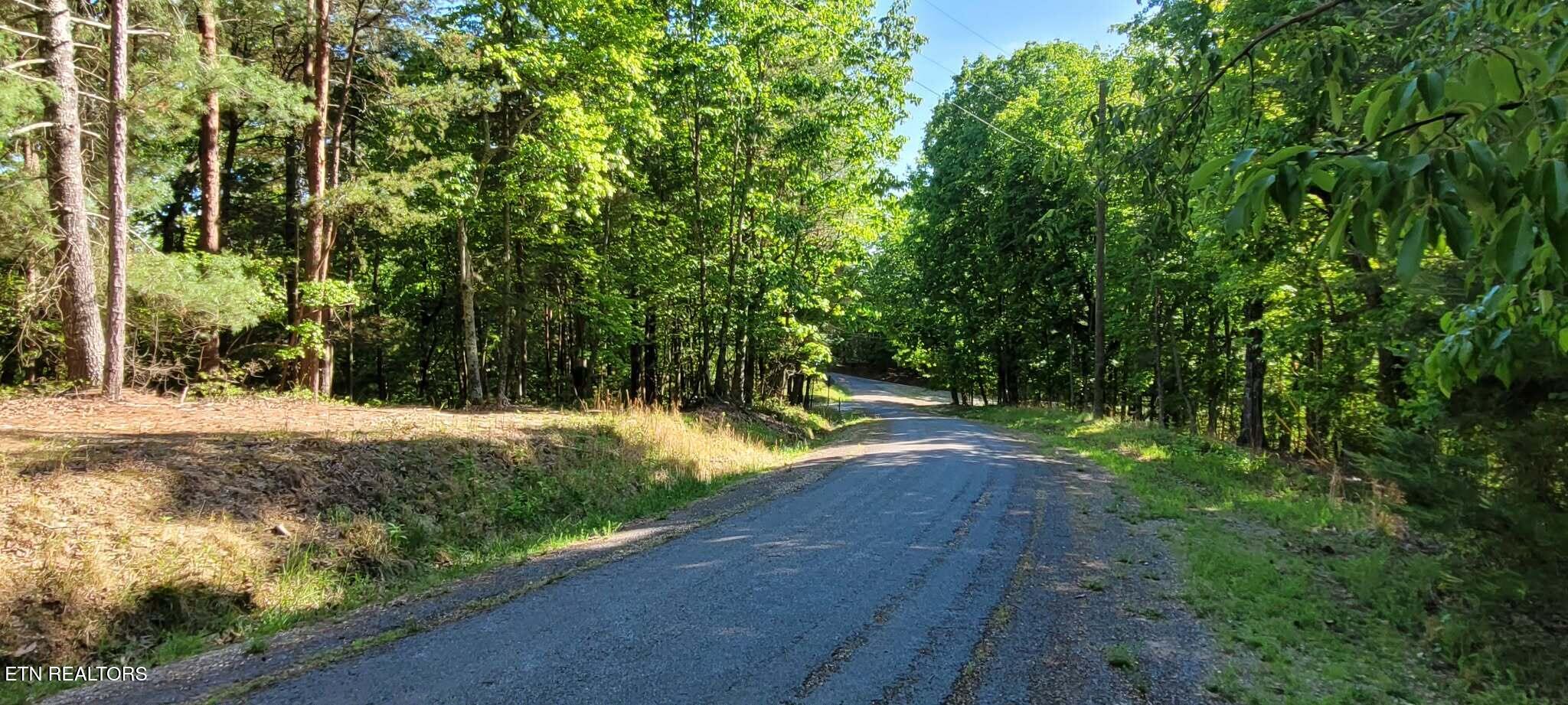 1.23 Acres Dogwood Court Spring City TN 37381