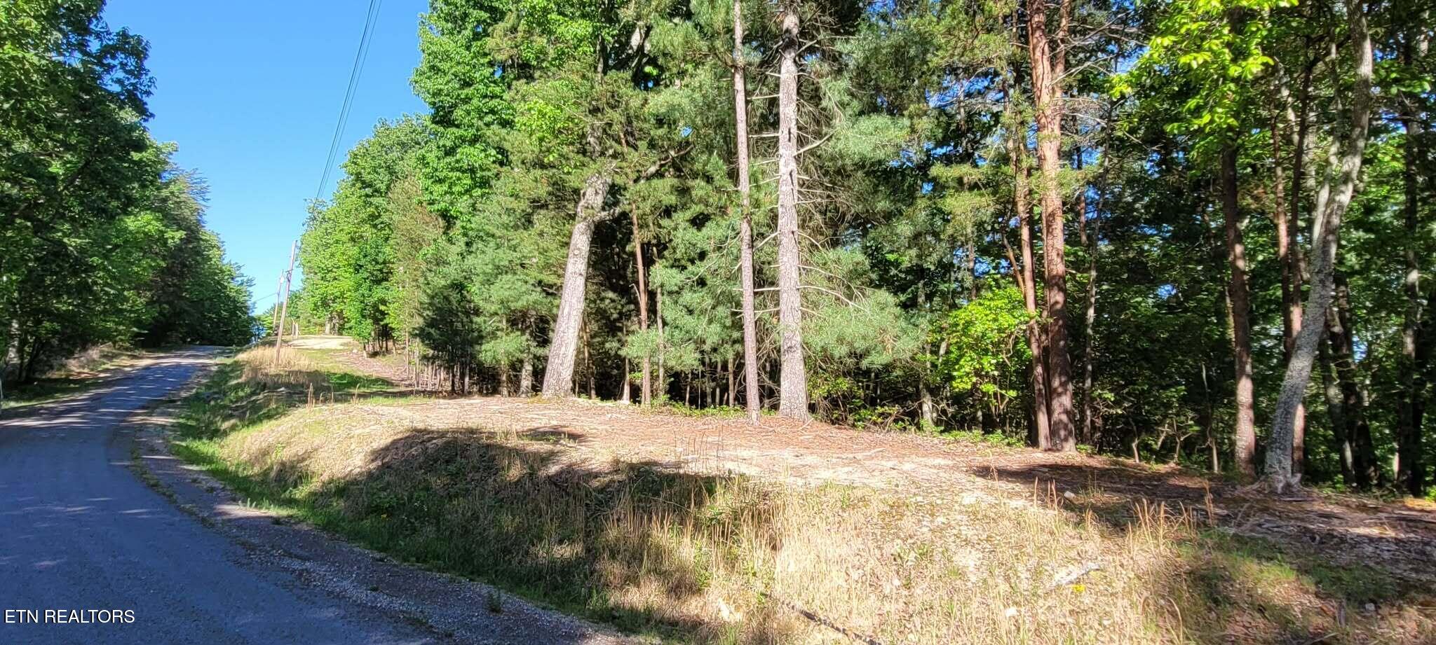 1.23 Acres Dogwood Court Spring City TN 37381