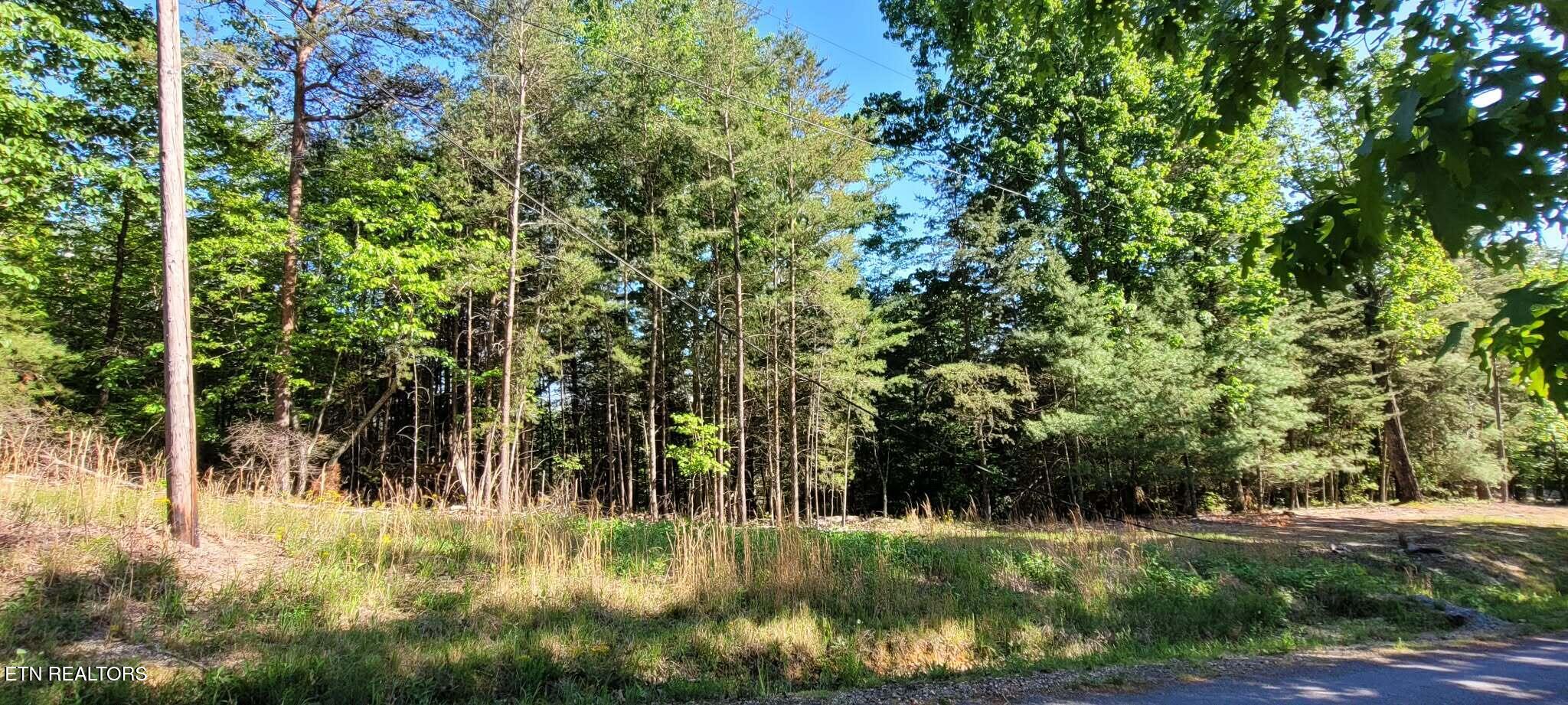 1.23 Acres Dogwood Court Spring City TN 37381