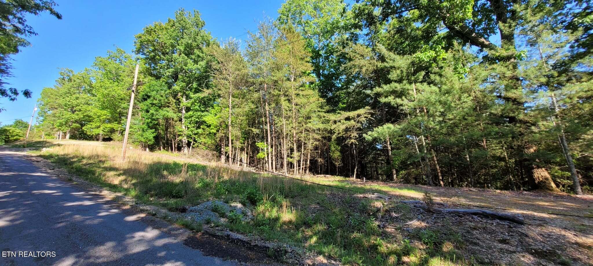 1.23 Acres Dogwood Court Spring City TN 37381