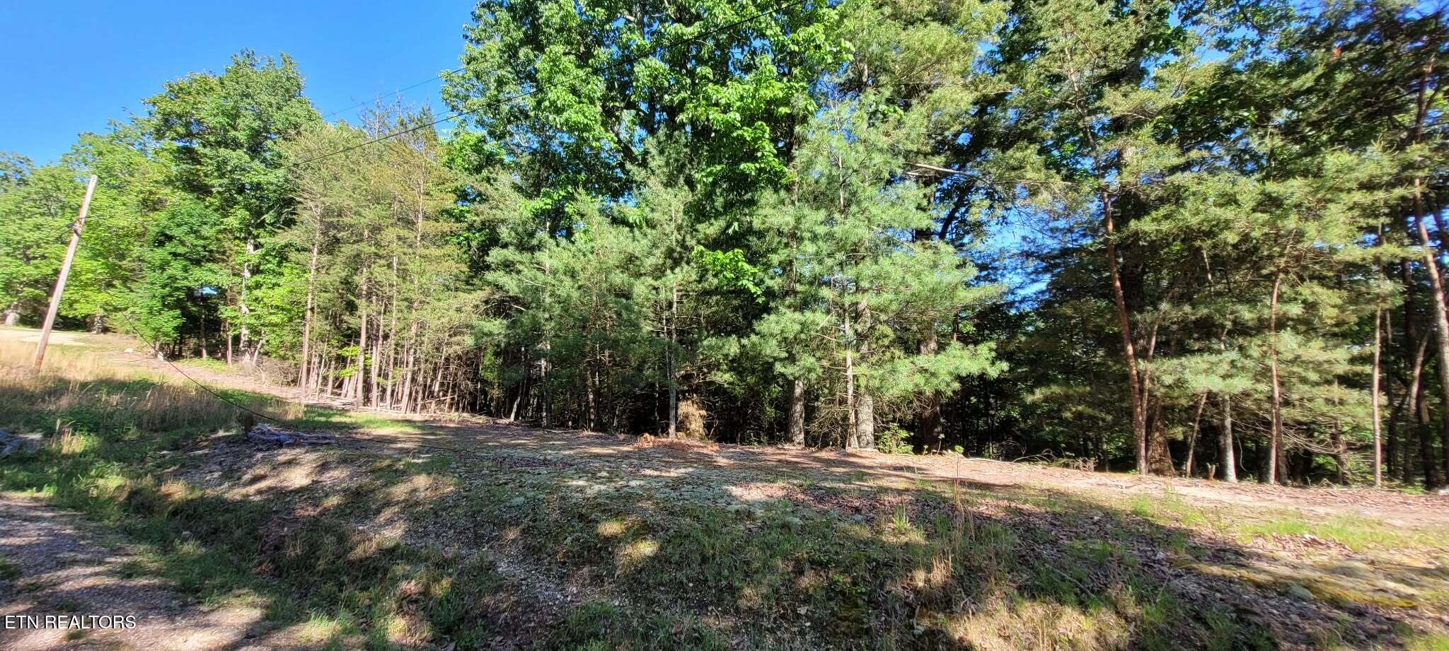1.23 Acres Dogwood Court Spring City TN 37381