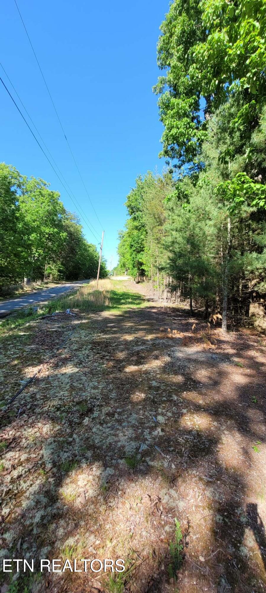 1.23 Acres Dogwood Court Spring City TN 37381