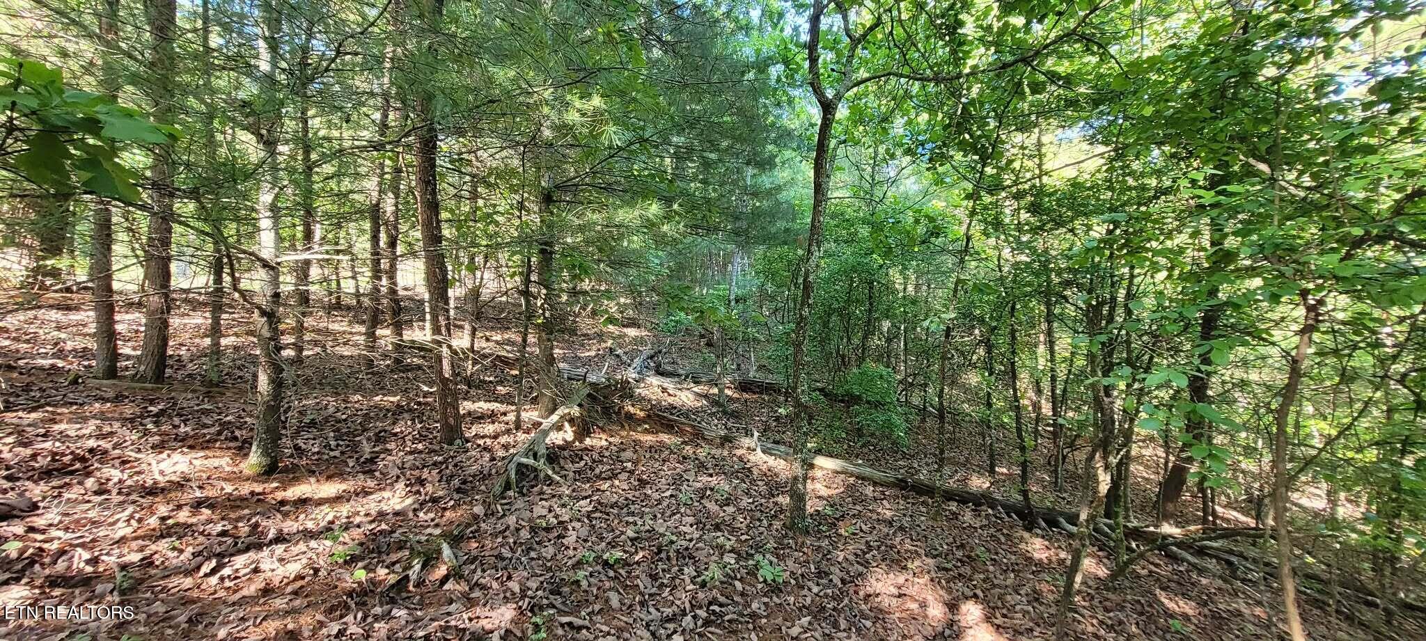 1.23 Acres Dogwood Court Spring City TN 37381
