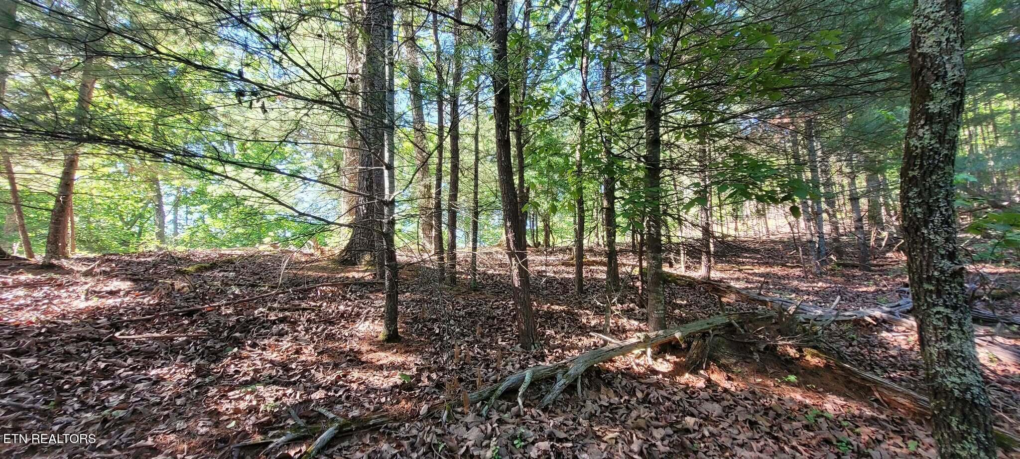 1.23 Acres Dogwood Court Spring City TN 37381
