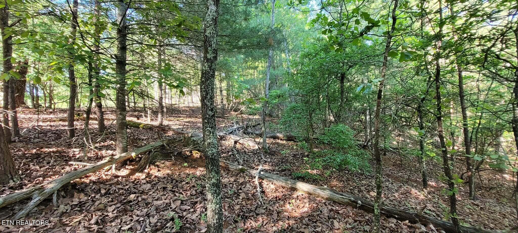 1.23 Acres Dogwood Court Spring City TN 37381
