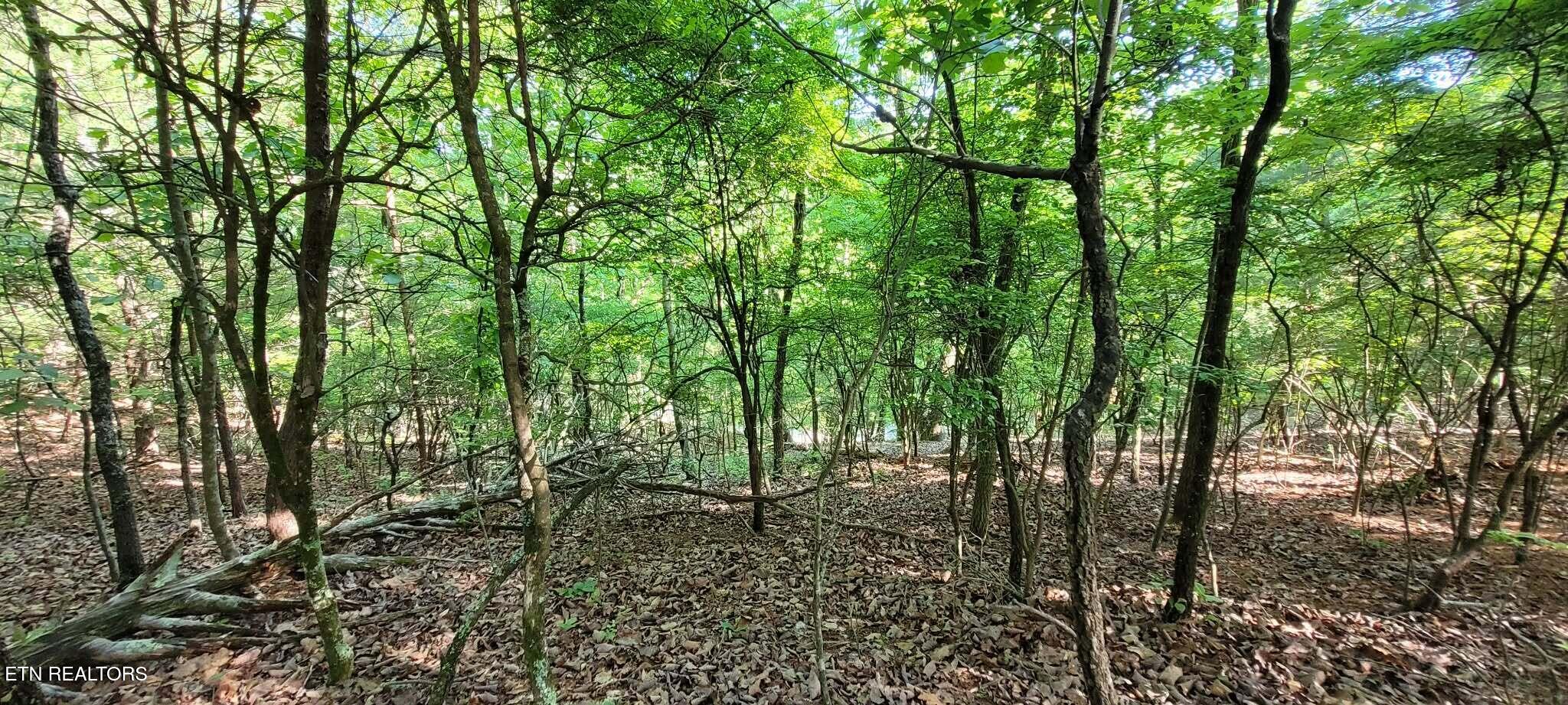 1.23 Acres Dogwood Court Spring City TN 37381
