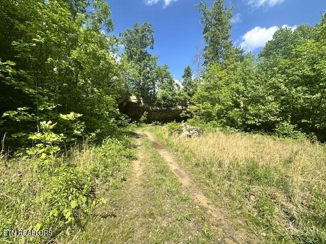 00 Bear Knob Lane Crawford TN 38554