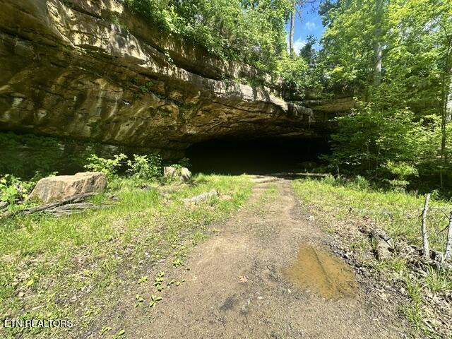 00 Bear Knob Lane Crawford TN 38554